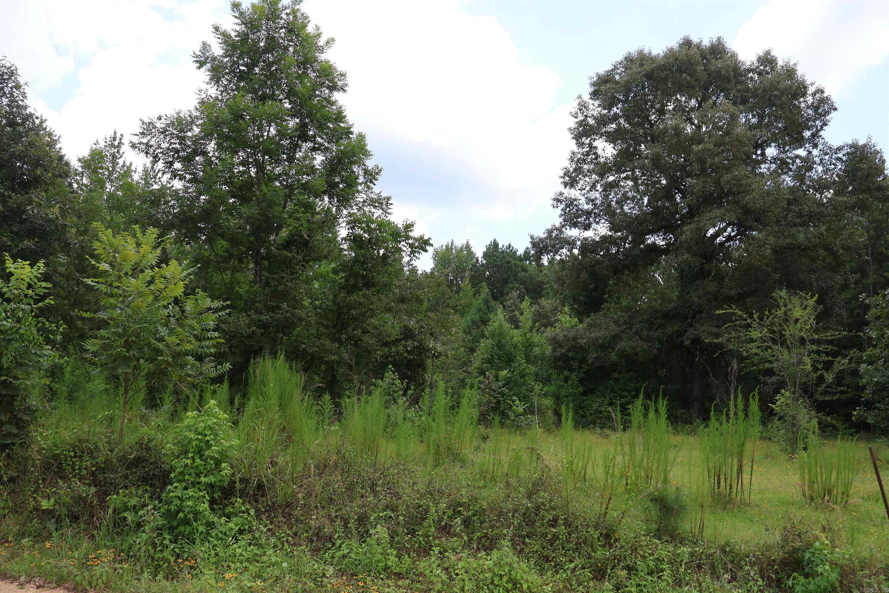7.39± acres located on Prairie Chapel Road in Drew County, Arkansas. This wooded tract offers privacy and a peaceful rural setting with approximately 486 feet of road frontage. Conveniently located just off Highway 133 and approximately 5 miles from U.S. Highway 425, providing easy access while maintaining a quiet country atmosphere. Utilities are available nearby (buyer to verify availability). Whether you’re looking for recreational land, a long-term investment, timber, or a potential homesite, this property offers plenty of possibilities. Survey available.
