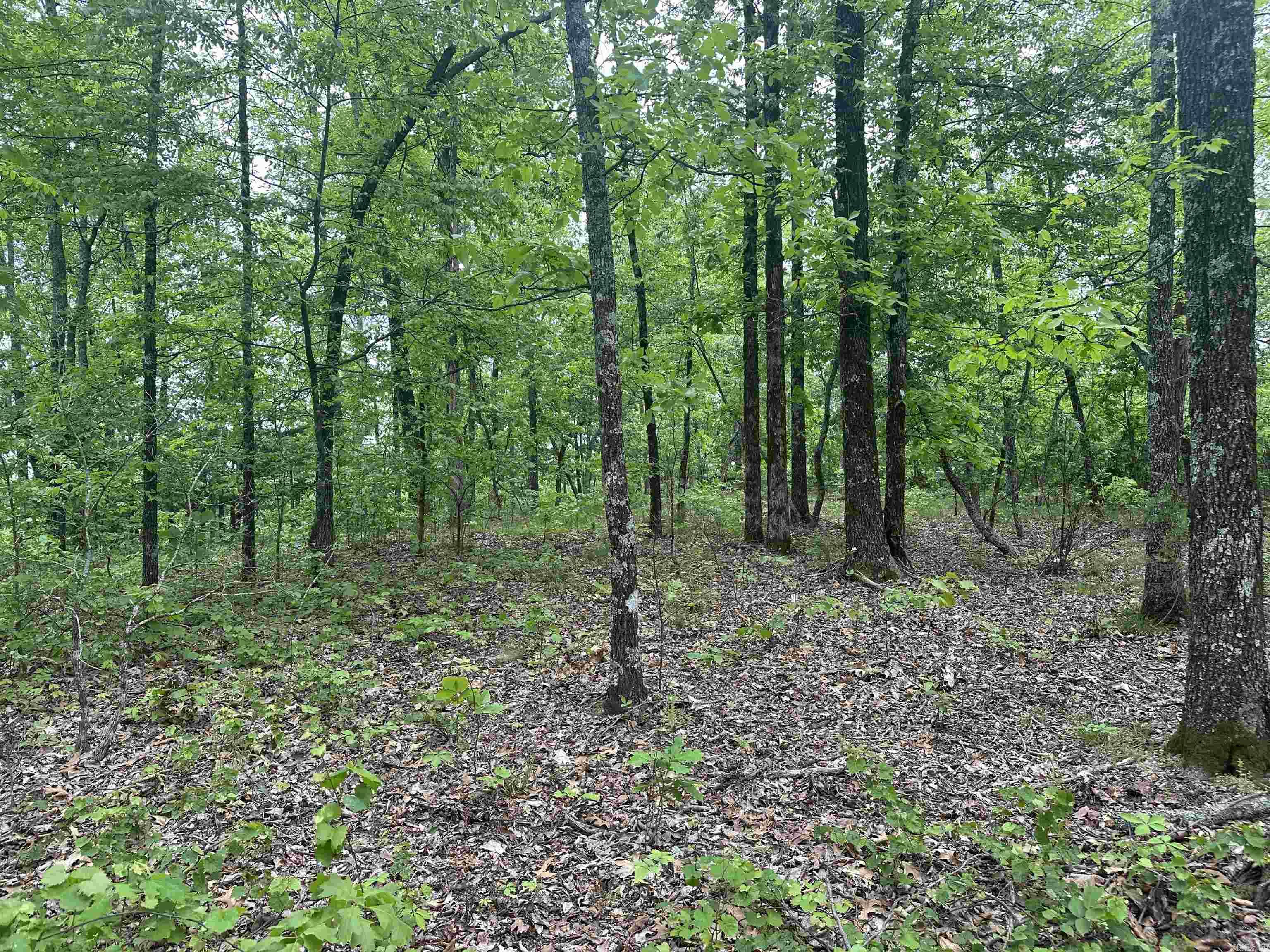There are three beautiful 3-acre residential lots located on top of Beautiful Holly Mtn, with all major utilities at the road, located in rural Van Buren County, but only 7 minutes from all of Clinton's amenities and 14 minutes from beautiful Greers Ferry Lake. I'll add more info here by Monday, but these lots can also be bought with 15 to 20 % down owner financing. New pictures coming soon