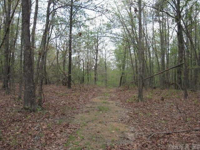 Timbered Acreage at the end of the road and off the grid.  Wooded land, covered with mostly hardwoods - some pine.  Higher ridges for some good building sites.  A lower area should make a good pond site.  Joins Weyerhauser on the west.  Good location for a private home or getaway cabin in a secluded location.  Lots of deer in this area of Polk County, as well as turkey.  Take pride in owning your own property in Arkansas.  50% of mineral rights convey.  Priced under $1600 per acre.