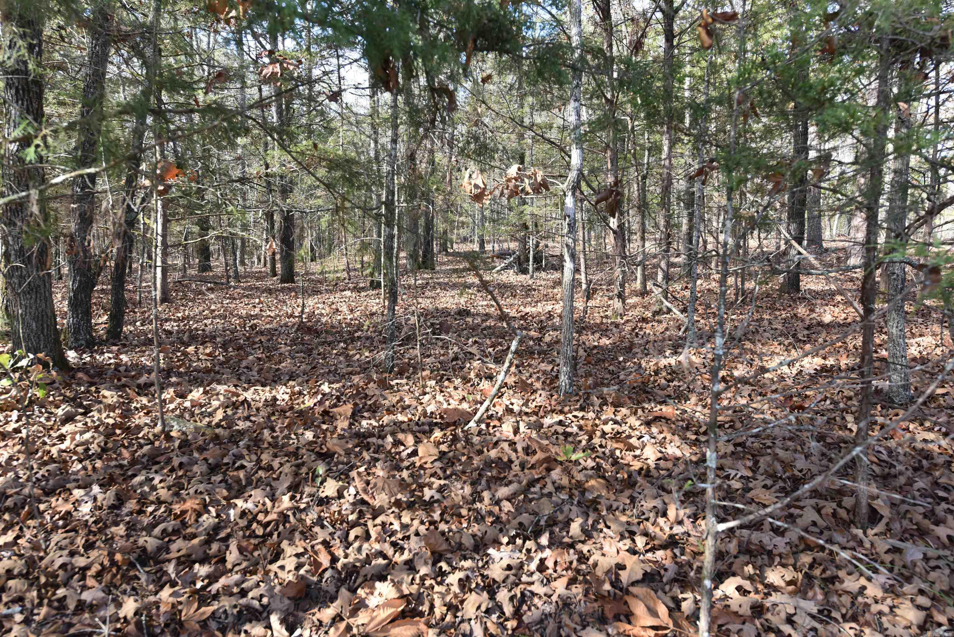 INDIAN HILLS - Land
