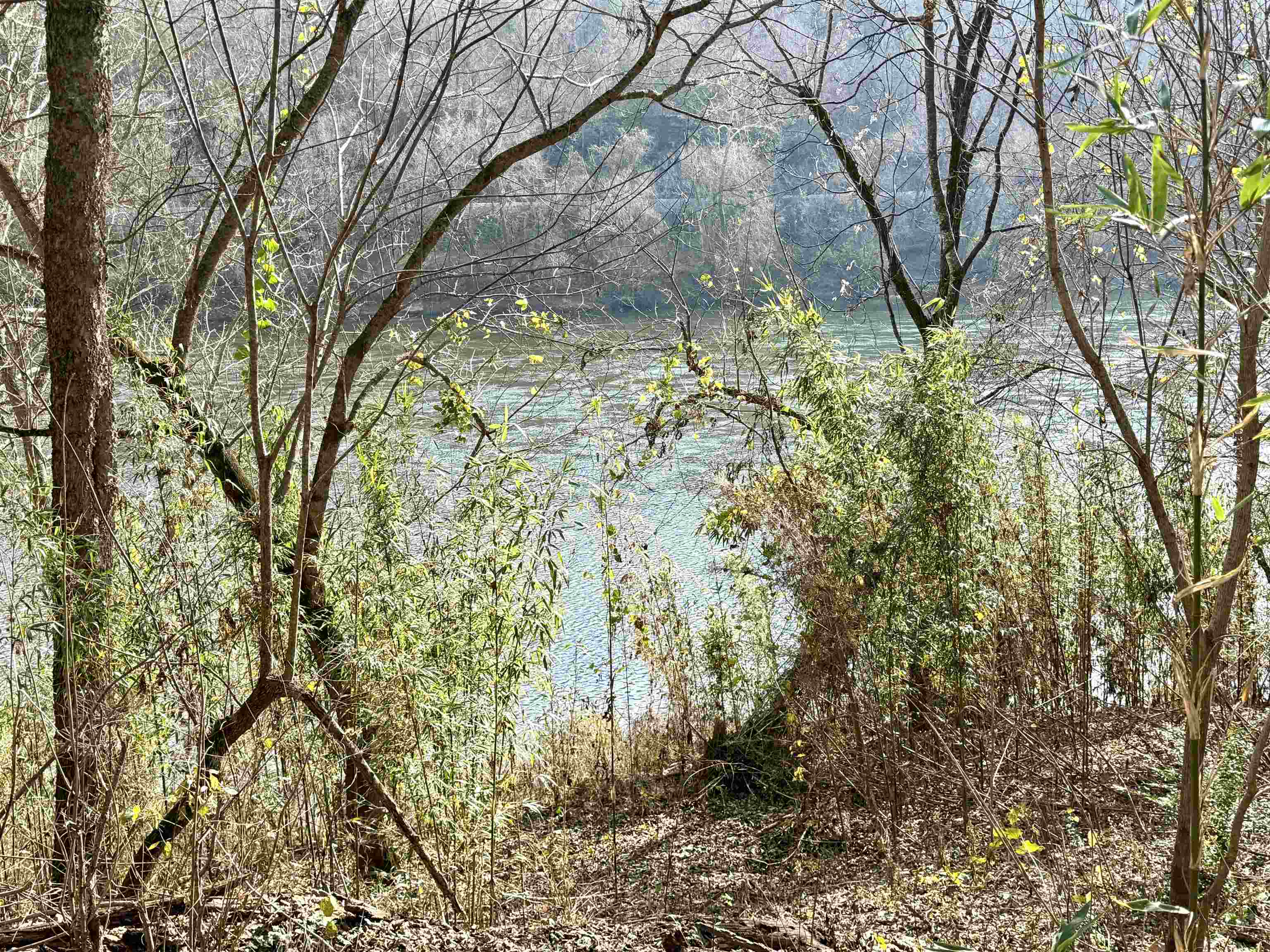 River Oaks - Land