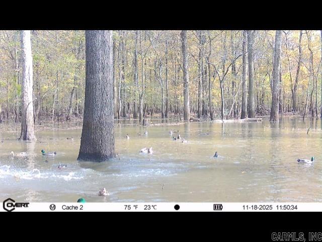 Properties along the Cache River have been very few and far between for many years and this offering is not a random piece that will leave you wondering if mallards will come through the trees the way you have always dreamed. This 489.48 surveyed acre tract is located off of Highway 70 just West of Brinkley in the absolute center of the Arkansas waterfowl flyway. There is a 50' easement that leads you to a gravel parking lot at the NW corner where you can launch a boat using the existing gravel launch and boat ditch or take off on a side by side utilizing the interior road system. It is already setup with 3 wells (2 electric and 1 turbine) along with all the infrastructure needed to flood the woods and fields. It is not often that I have been able to hunt the tracts I am selling, but this is one very fortunate case where I know how good the hunting is because I have lived "the good ol days" on this property in years past. I will never forget the first time I was on it and flushed a huge raft of mallards on the southern end of the timber thinking "well that was cool, but there they all went" just for the same thing to happen two more times as we rode through the woods.
