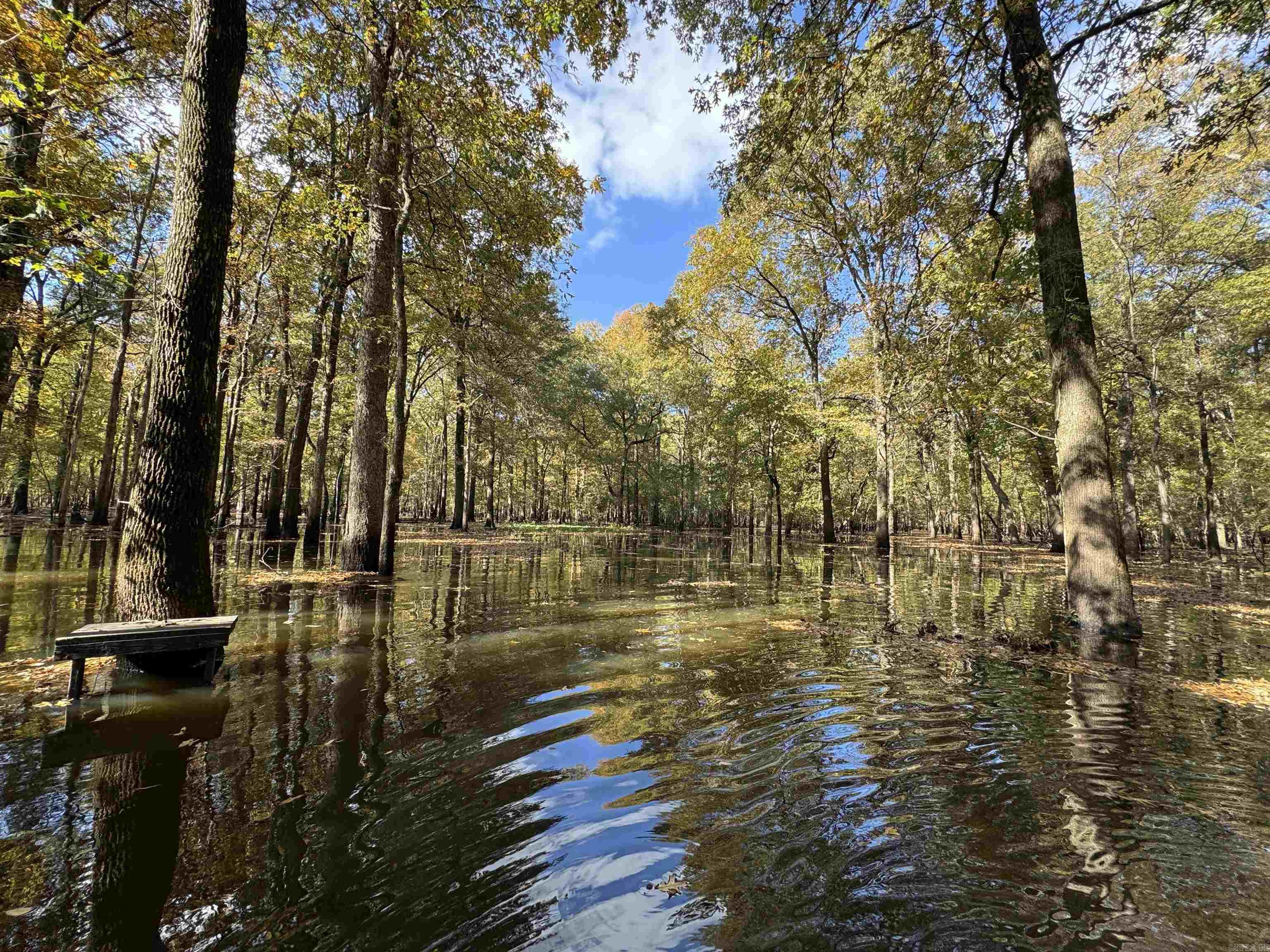 Properties along the Cache River have been very few and far between for many years and this offering is not a random piece that will leave you wondering if mallards will come through the trees the way you have always dreamed. This 489.48 surveyed acre tract is located off of Highway 70 just West of Brinkley in the absolute center of the Arkansas waterfowl flyway. There is a 50' easement that leads you to a gravel parking lot at the NW corner where you can launch a boat using the existing gravel launch and boat ditch or take off on a side by side utilizing the interior road system. It is already setup with 3 wells (2 electric and 1 turbine) along with all the infrastructure needed to flood the woods and fields. It is not often that I have been able to hunt the tracts I am selling, but this is one very fortunate case where I know how good the hunting is because I have lived "the good ol days" on this property in years past. I will never forget the first time I was on it and flushed a huge raft of mallards on the southern end of the timber thinking "well that was cool, but there they all went" just for the same thing to happen two more times as we rode through the woods.
