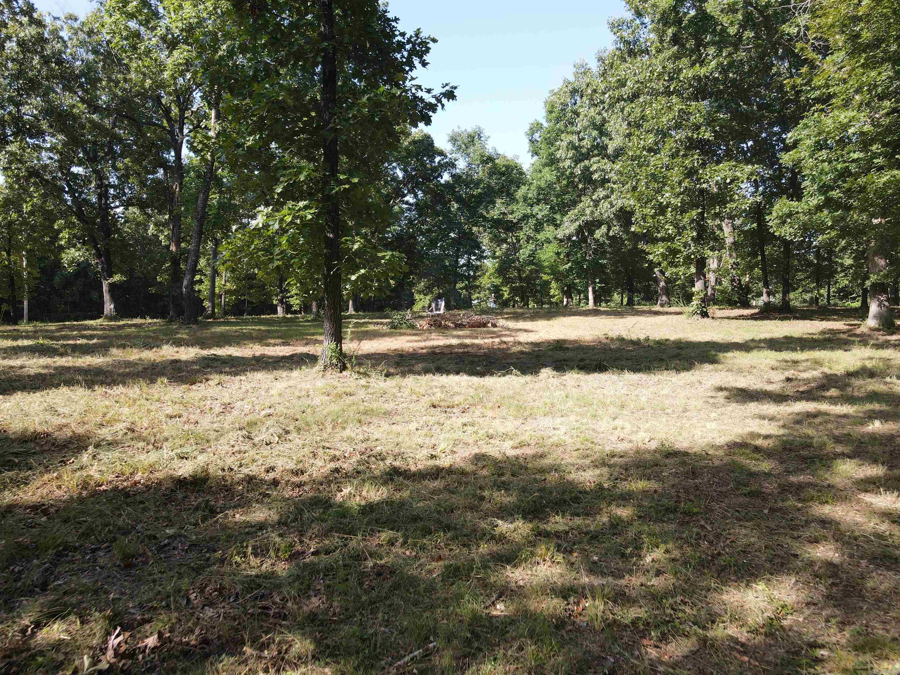 Wooded Hills - Land