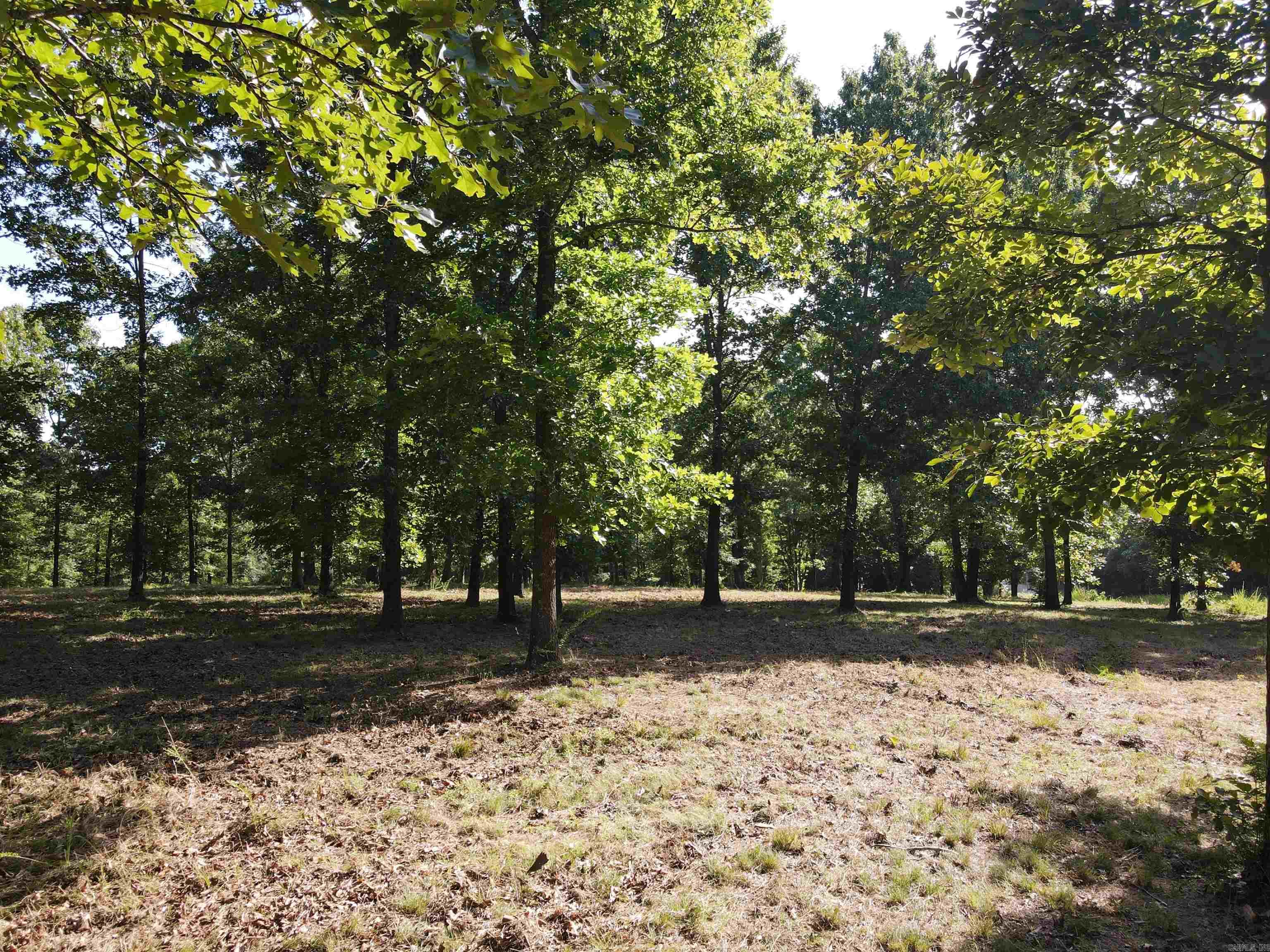 Wooded Hills - Land