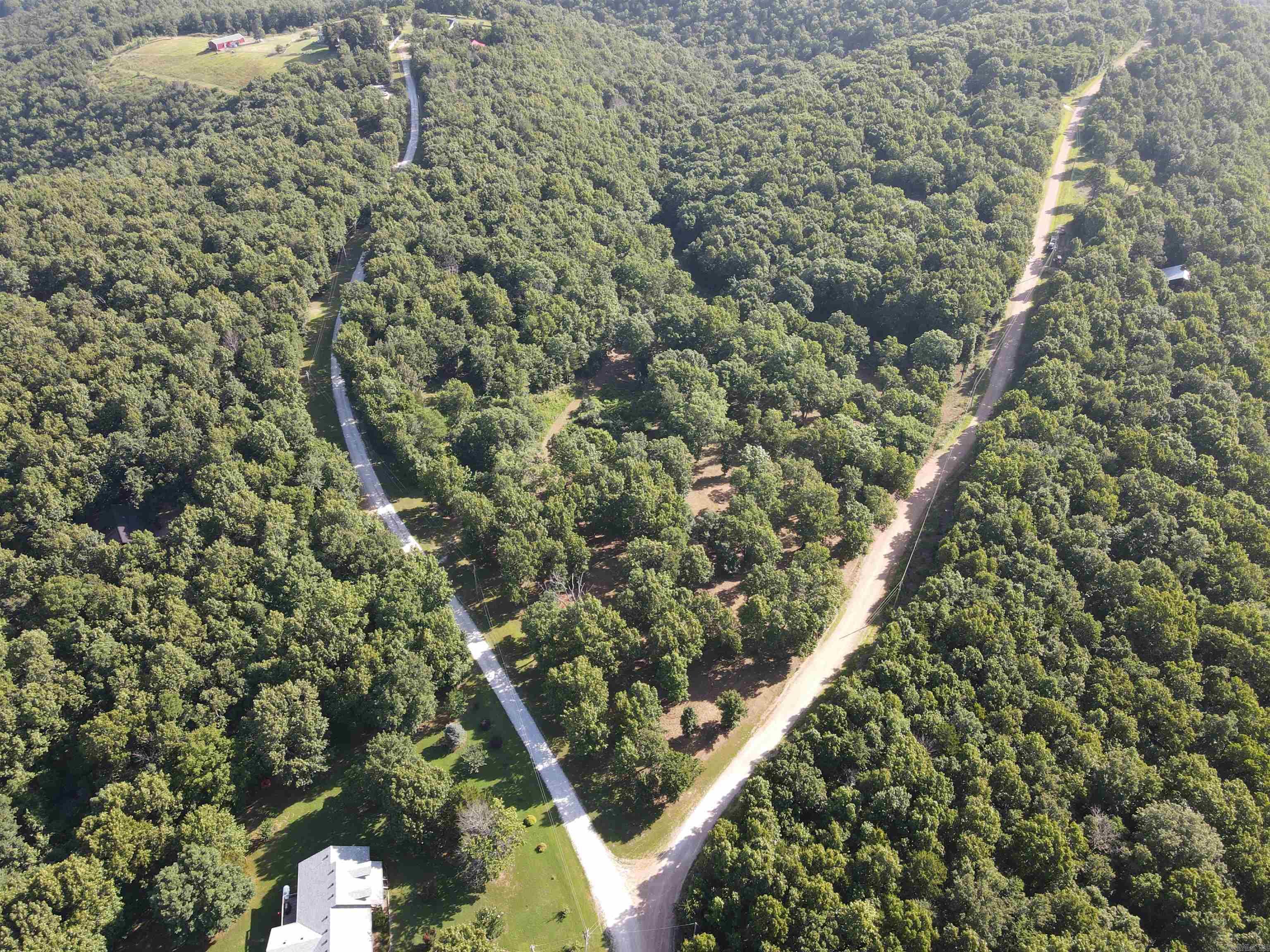 Wooded Hills - Land