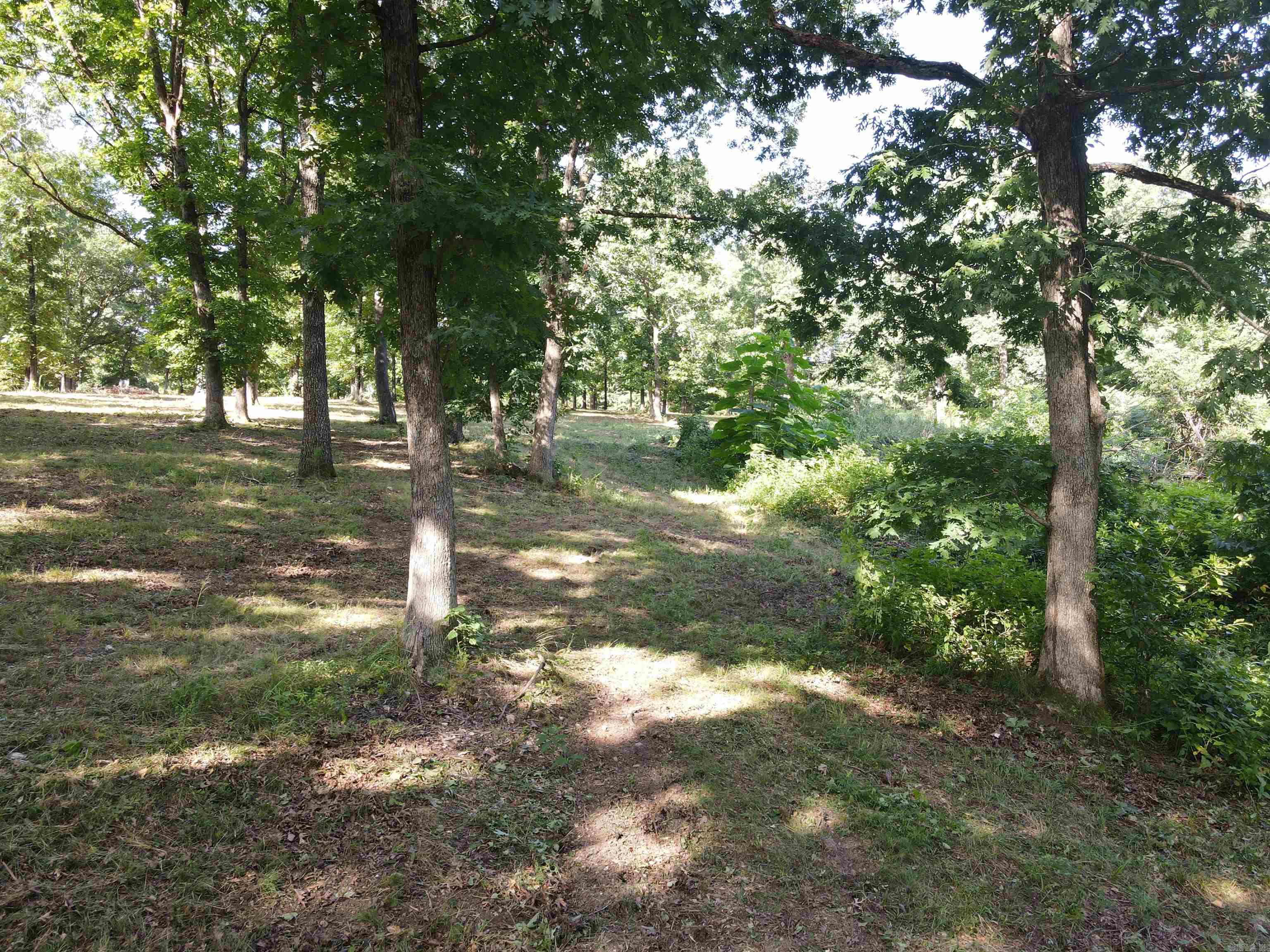 Wooded Hills - Land