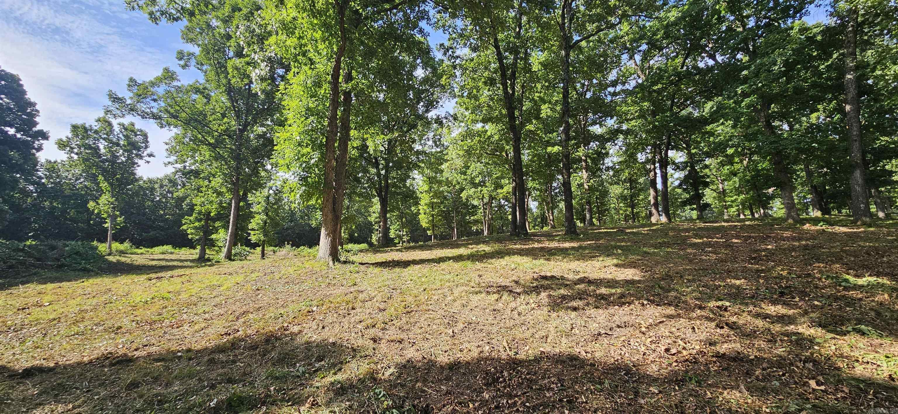 Wooded Hills - Land