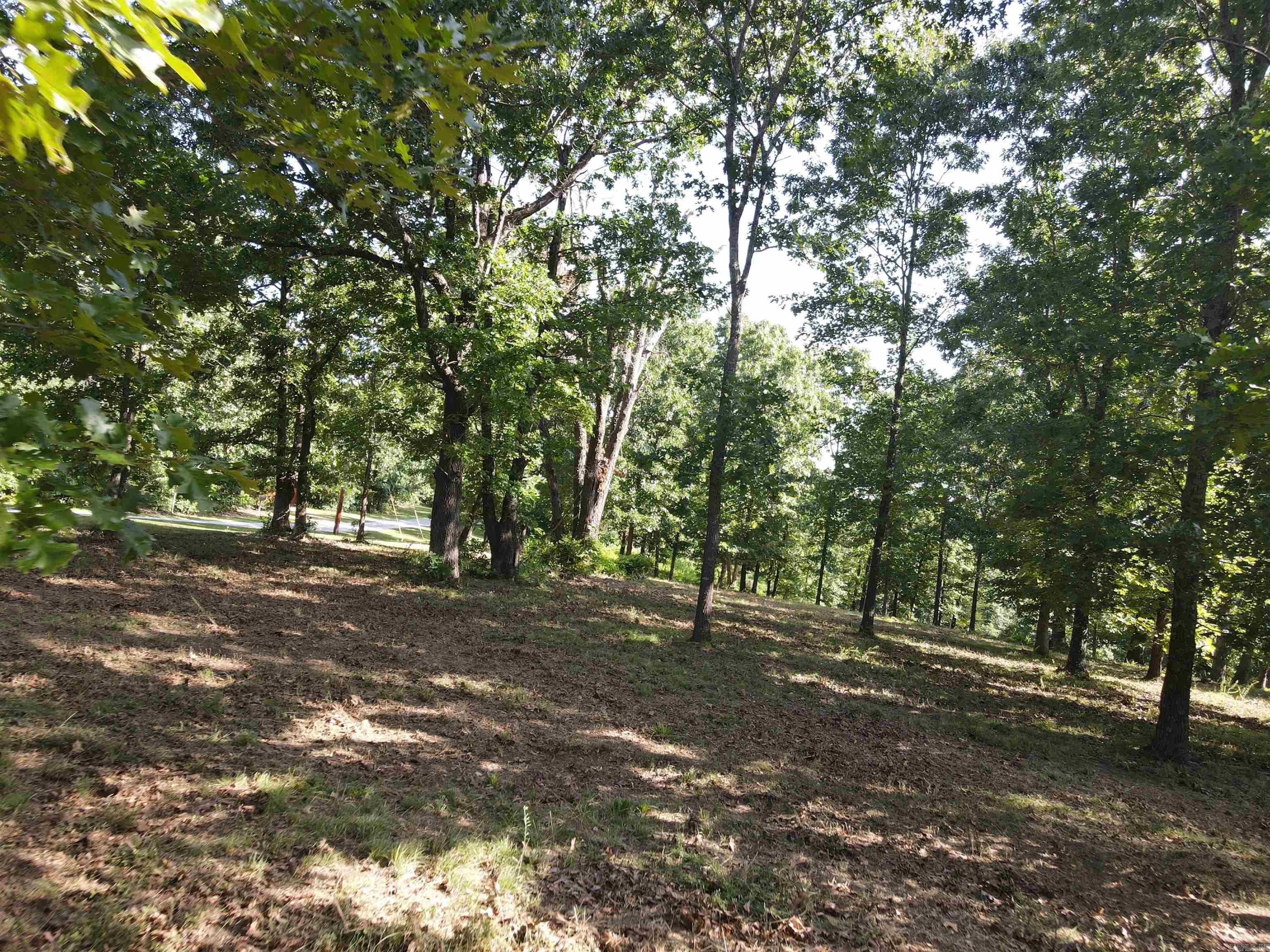 Wooded Hills - Land