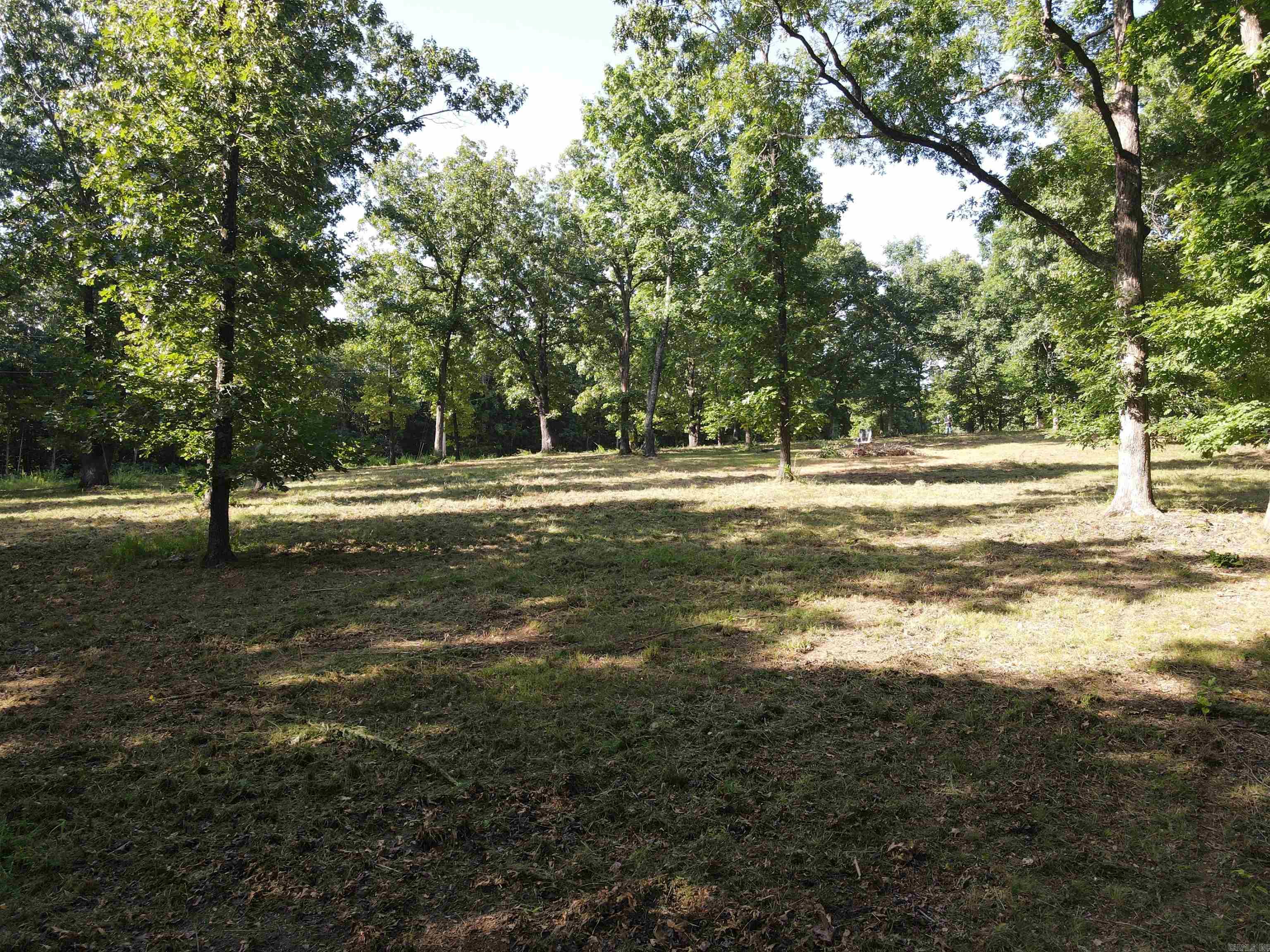 Wooded Hills - Land