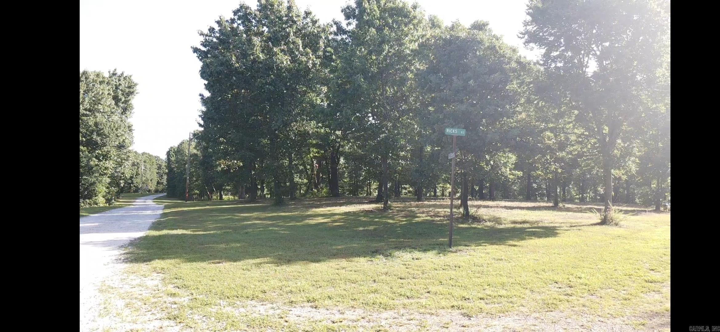 Wooded Hills - Land