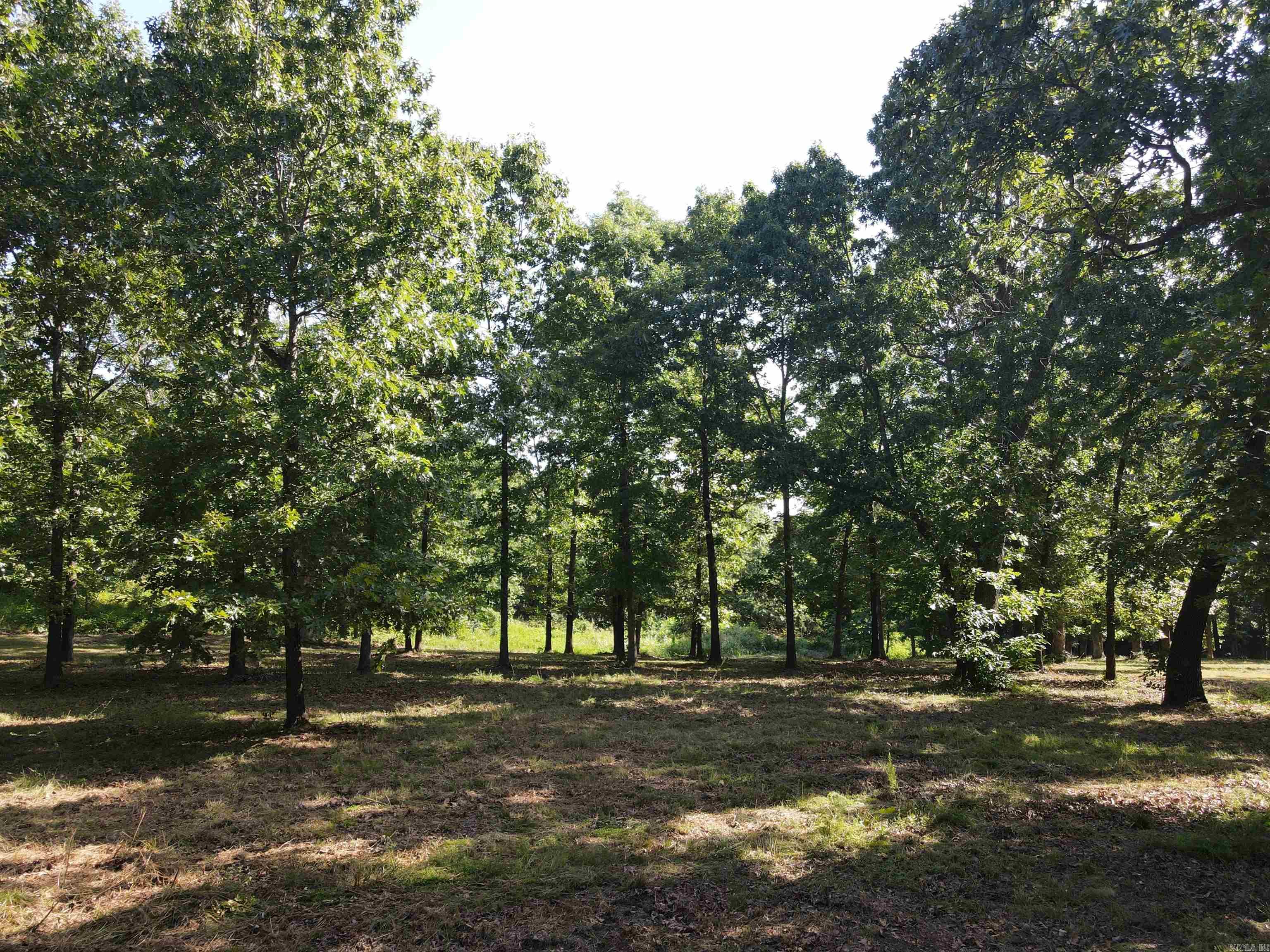 Wooded Hills - Land