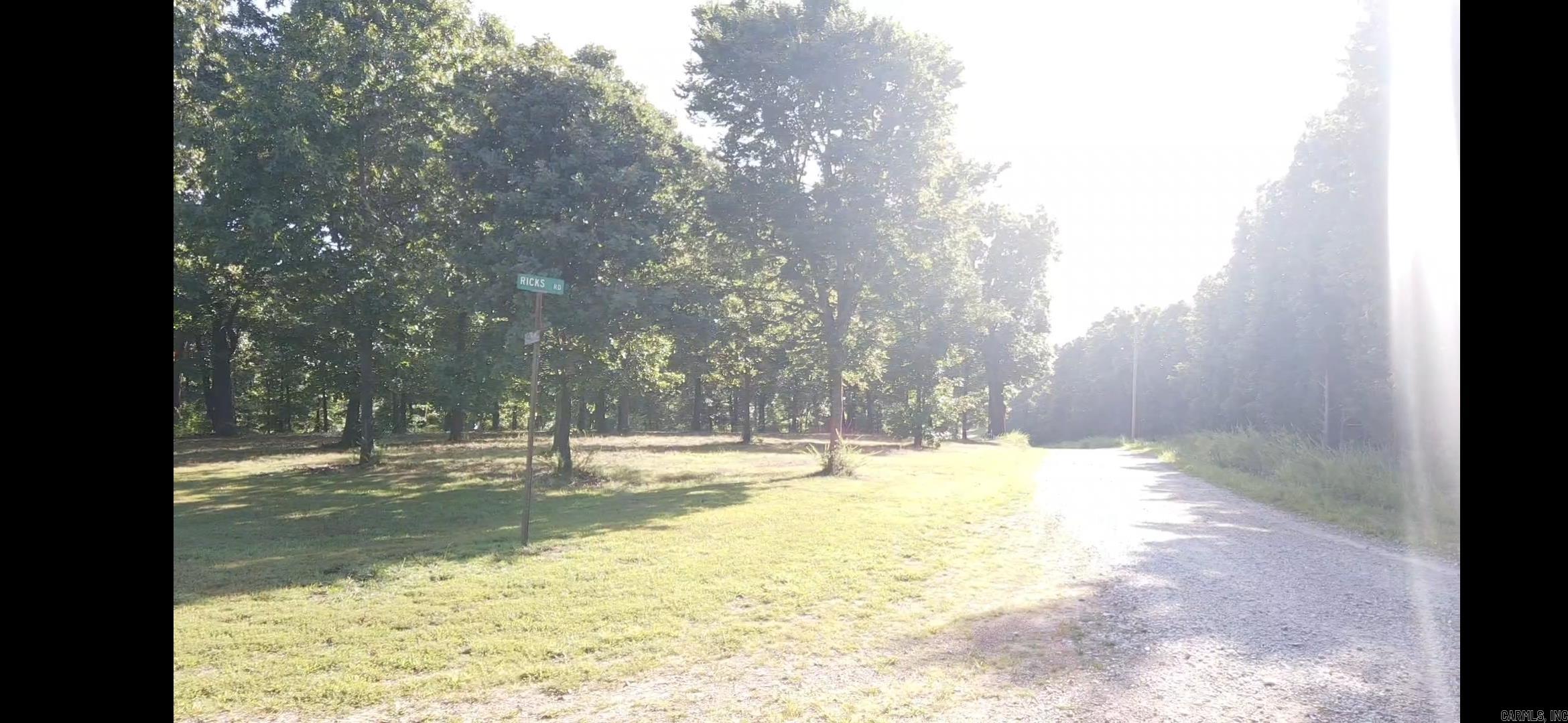 Wooded Hills - Land