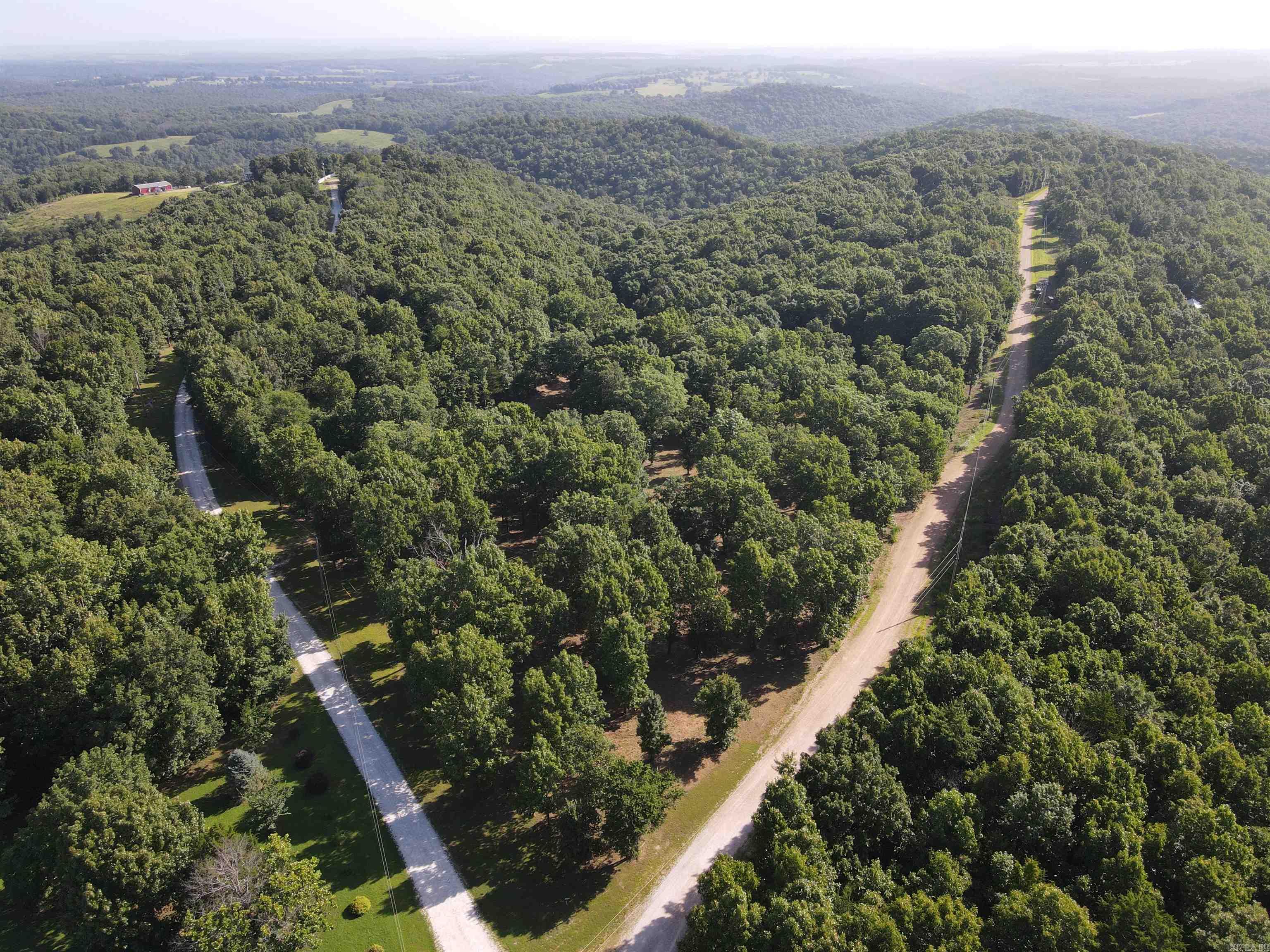 Wooded Hills - Land