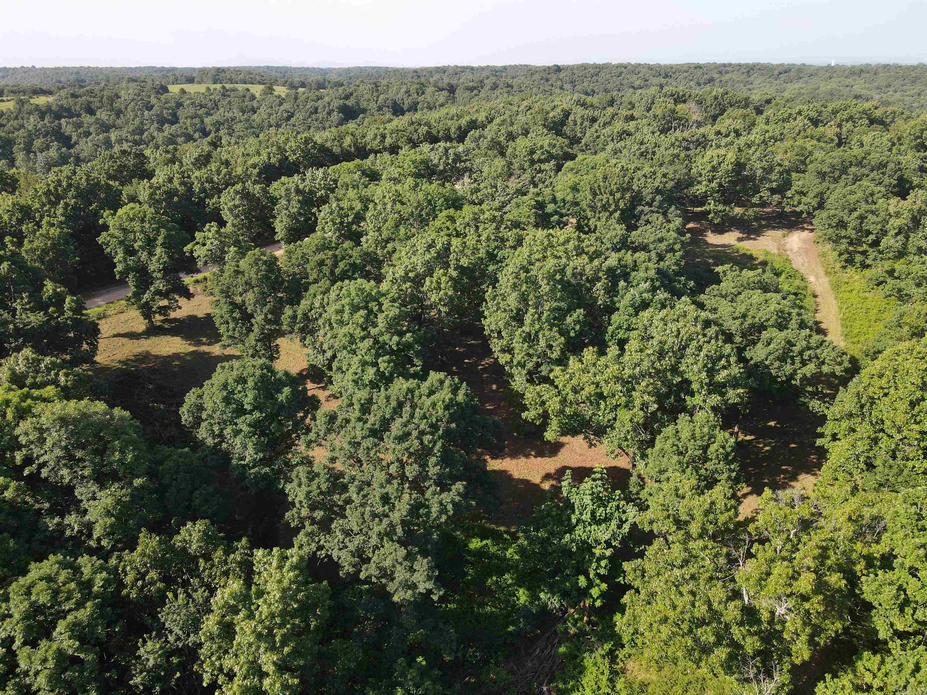 Wooded Hills - Land