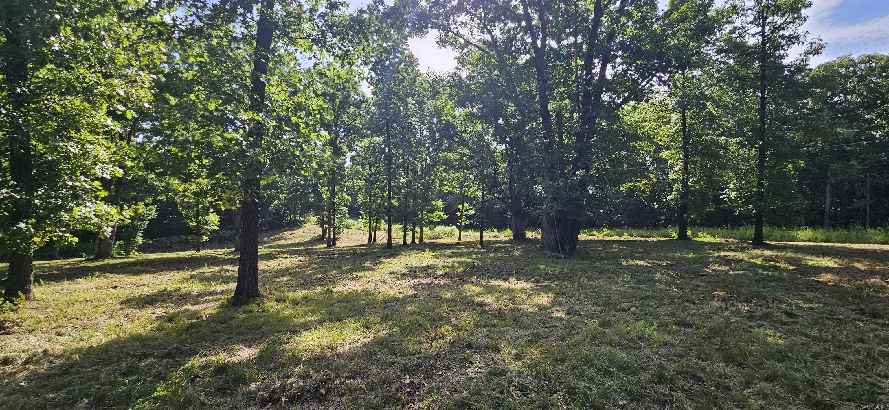 Wooded Hills - Land