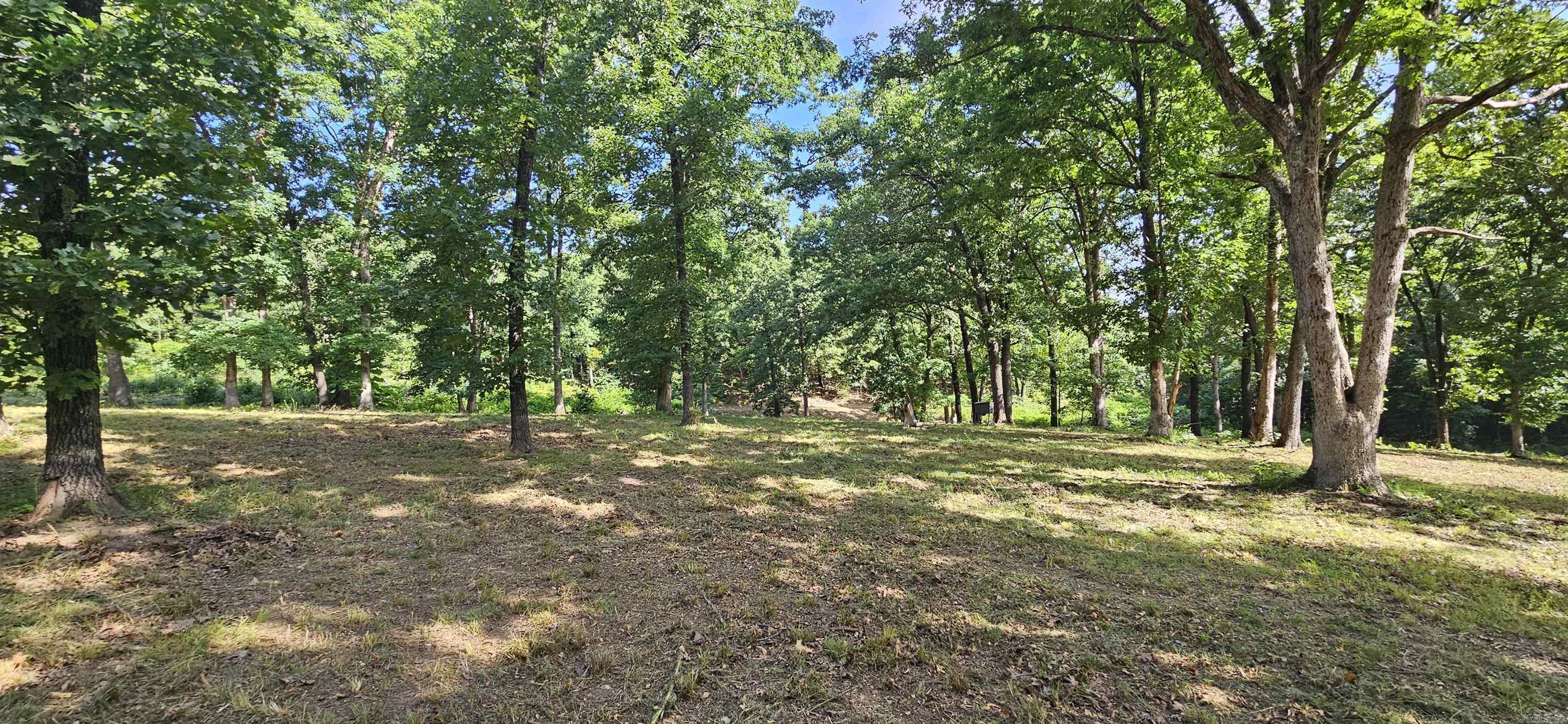 Wooded Hills - Land