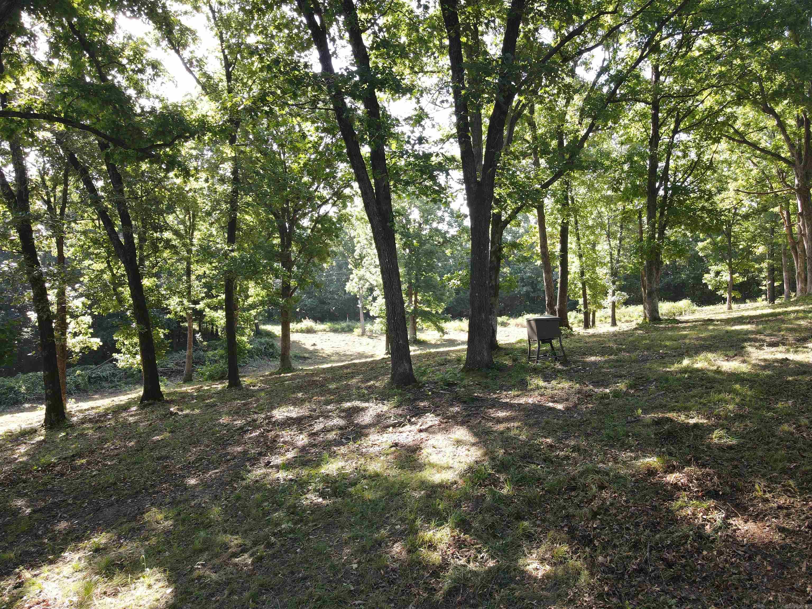 Wooded Hills - Land