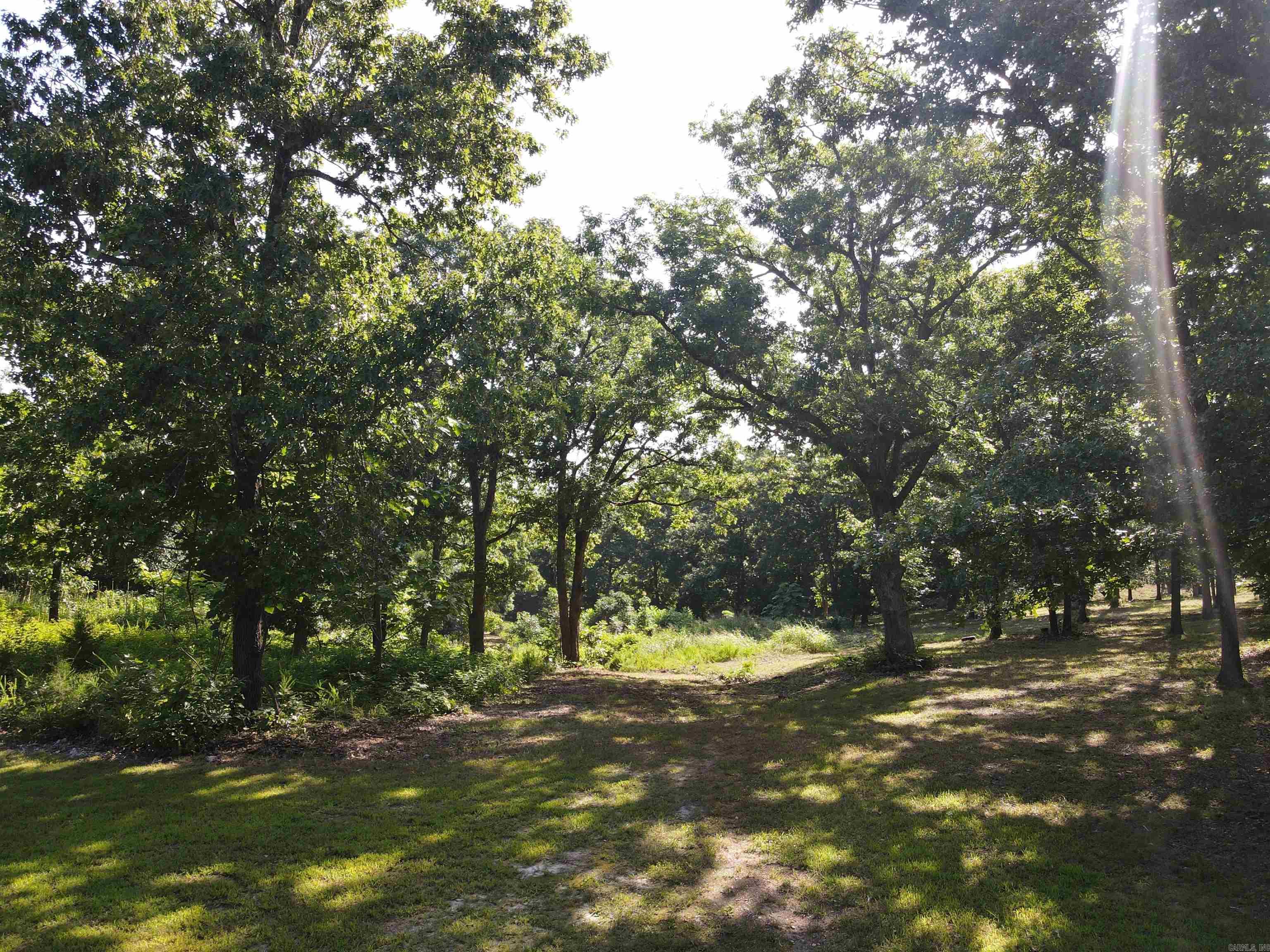 Wooded Hills - Land