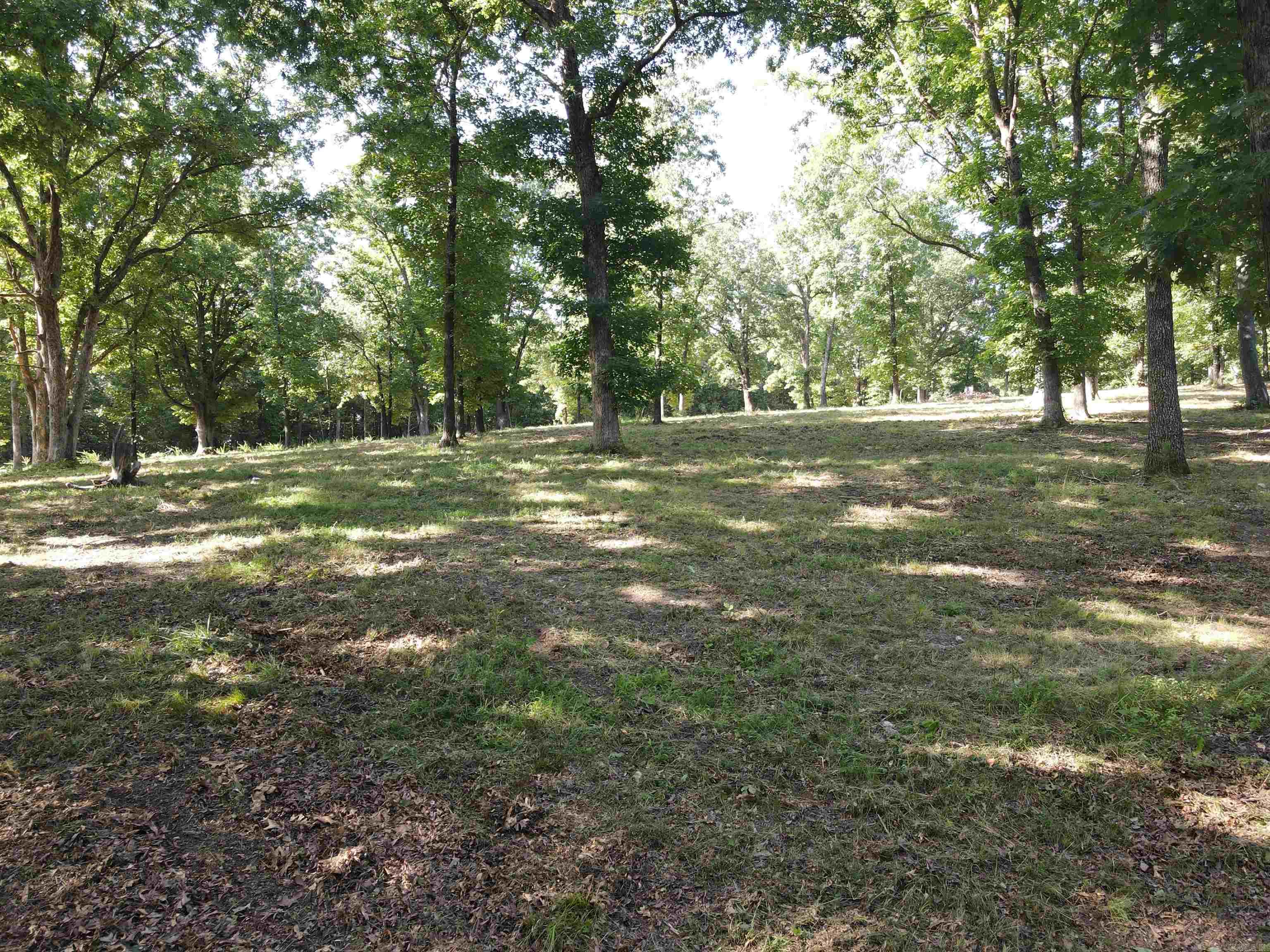 Wooded Hills - Land