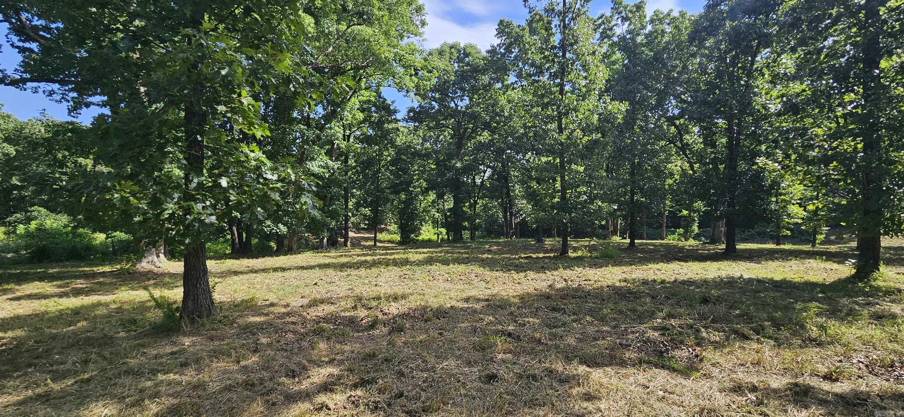 Wooded Hills - Land