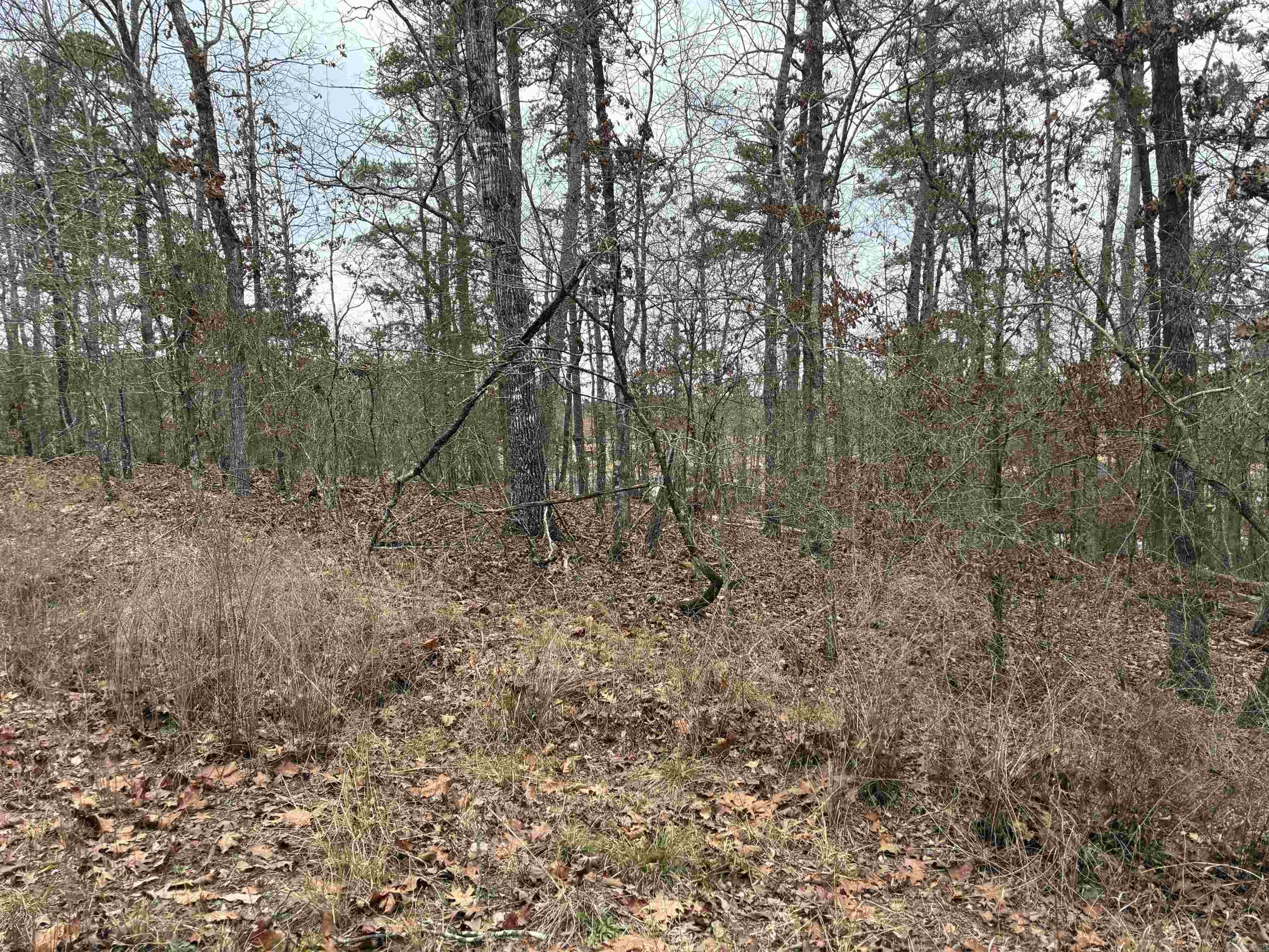 Build your dream home on this beautiful lot just minutes from the Balboa Golf Course and Lake. Hot Springs Village offers an active lifestyle with 9 golf courses, 11 lakes, marinas, beaches, hiking trails, fitness centers, swimming pools, and tennis and pickleball courts—all surrounded by scenic natural beauty.  New Members Pay $300 Buy-In Fee to the HSV POA at Closing.
