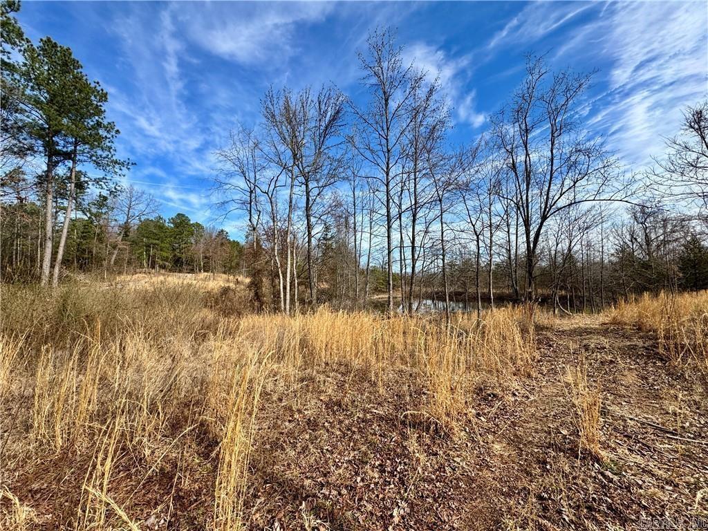 Located just six miles outside of Clarksville, this beautiful 10-acre property offers a peaceful escape where you can slow down, soak in the views, and truly enjoy the outdoors. Surrounded by abundant wildlife and natural scenery, the land features a lovely pond with a small platform perfect for sitting, relaxing, and fishing—an ideal spot for morning coffee, quiet afternoons, or winding down in the evening. A previous home was once located on the property offering an opportunity for someone with vision to shape this space into something special. Electric and water are already established, and a septic tank is in place (age unknown), providing a helpful foundation for future plans. With privacy, open space, and endless potential, this property is perfect for a future homesite, weekend getaway, or personal retreat where you can reconnect with nature and create your own slice of country paradise.