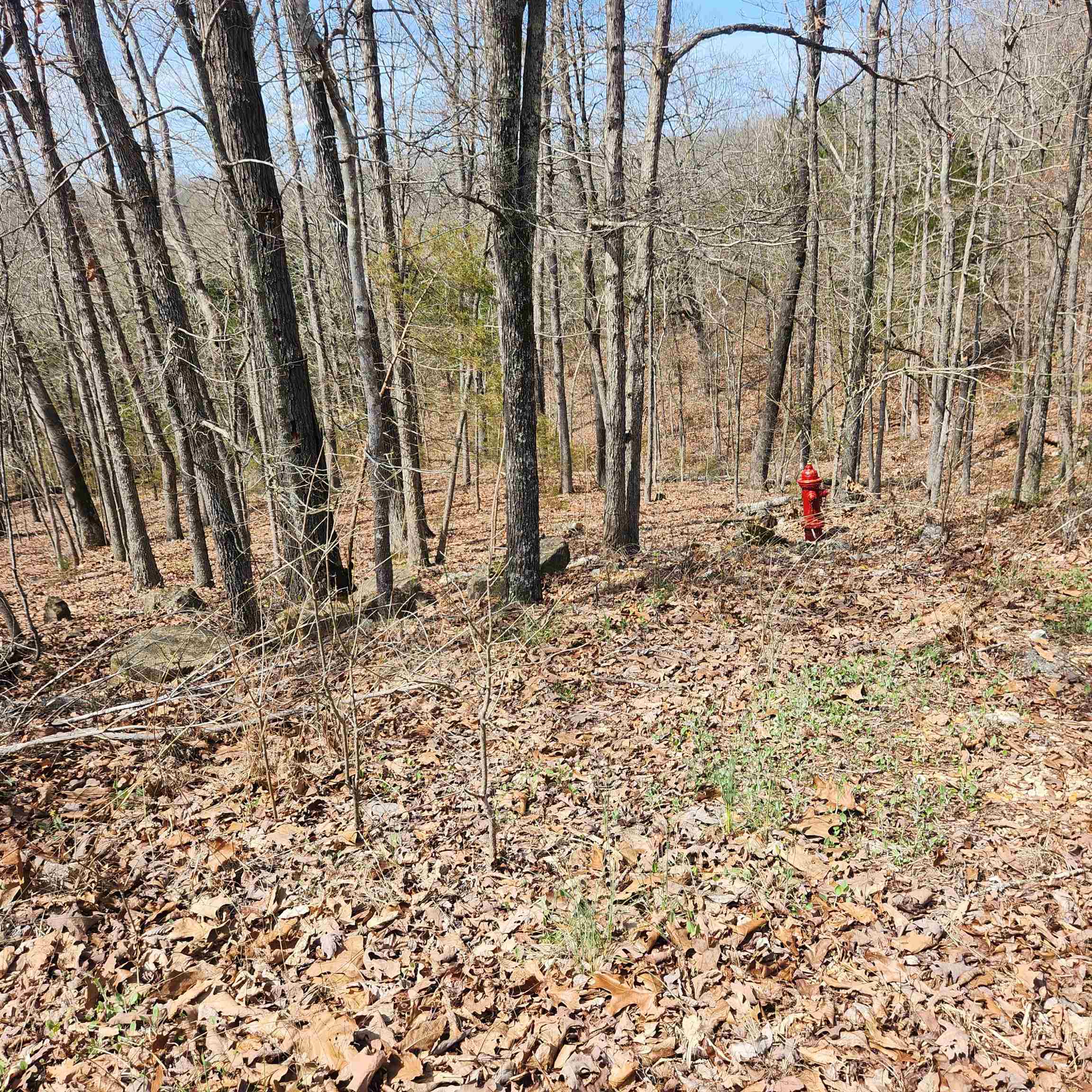 Really nicely wooded, hillside lot that could have outstanding views if a home was built properly. This lot sits high up on Flathead Rd with a possible great view over the Southfork River Valley. Flat head is a well-maintained road in the village. Come check this lot out, check out the view and see where you want to put your vacation home or your forever home. Retire here and fish 7 different lakes and golf 2 different 18-hole golf courses. Shop in Old Hardy town and trout fish the Spring River. Thats living the Cherokee Village lifestyle.