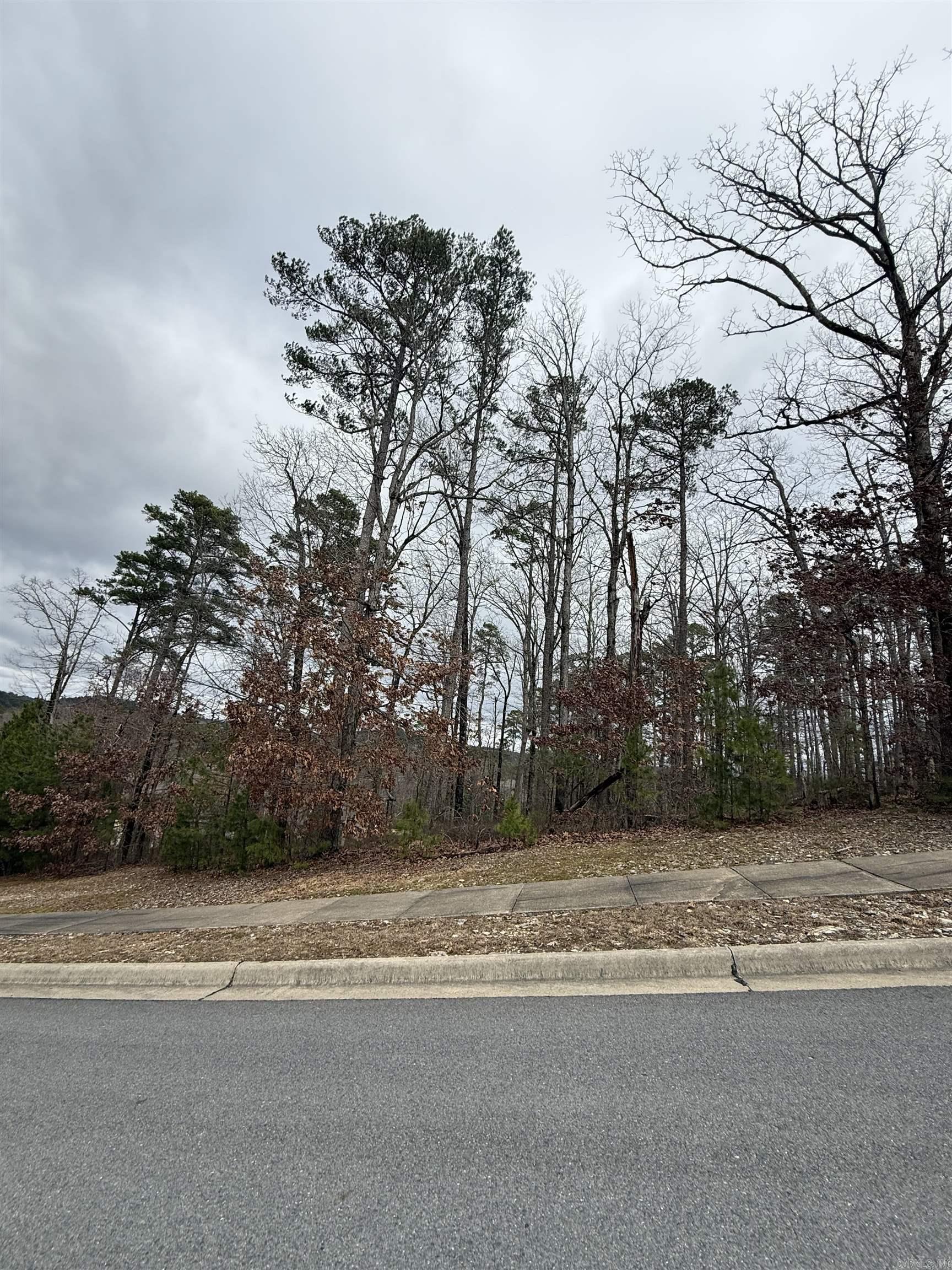 Discover an extraordinary parcel of premium residential land nestled in the prestigious Chenal Valley — one of Little Rock’s most sought-after luxury communities. This exclusive offering presents a rare chance to build your dream estate in a serene and meticulously planned neighborhood known for its upscale homes, scenic rolling terrain, and refined lifestyle amenities. Look No Further. Please call for showings today.....