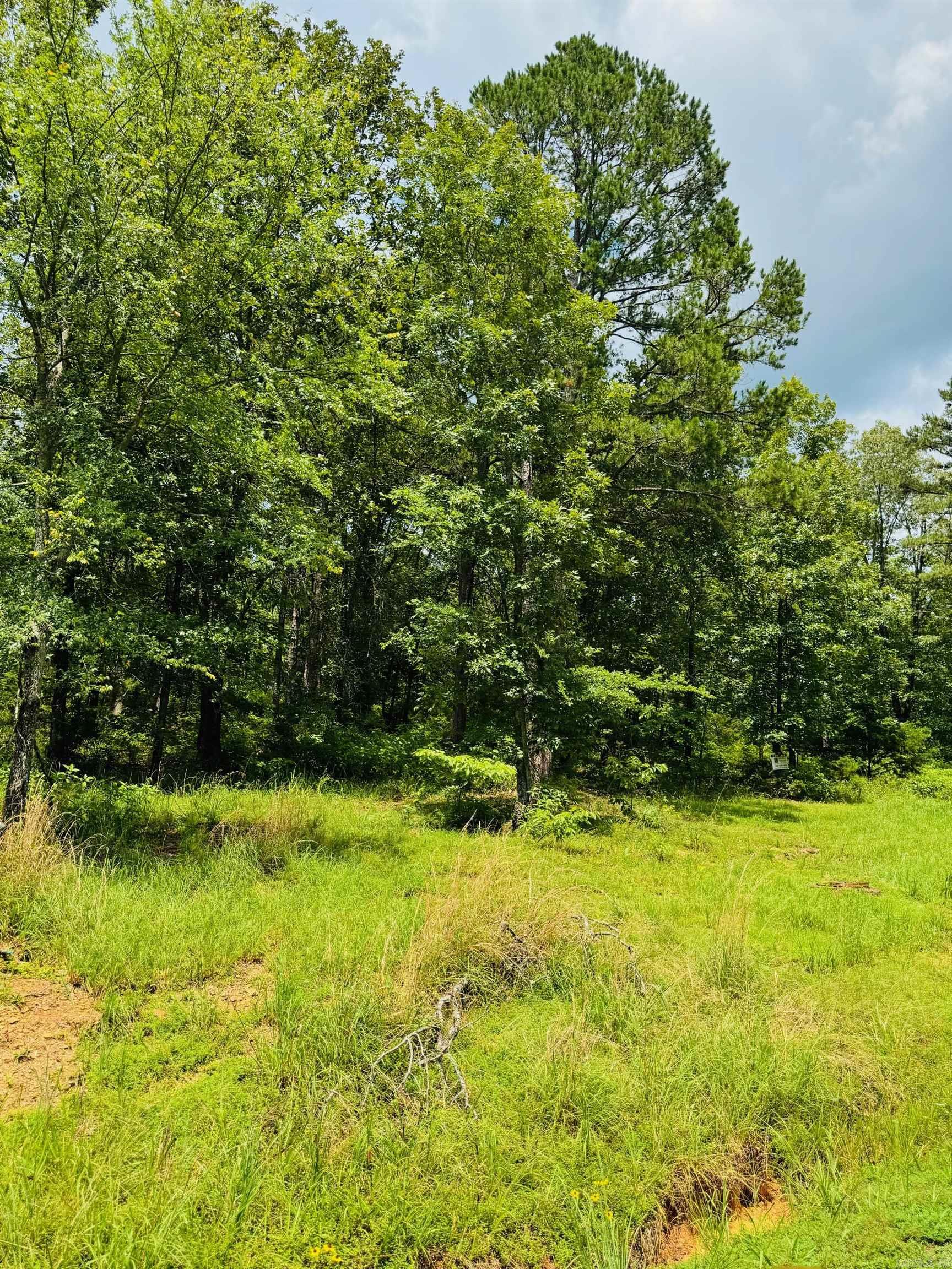Primrose Creek Sayles - Land