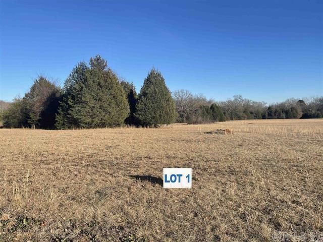Beautiful lot on almost 1 acre. Just right outside of town in a very private area. Bring your floor plans and builder that owns it will build your dream home.  There are covenant and restrictions, This is a nice corner lot. There will be Gas, Electric, water, and internet available here.