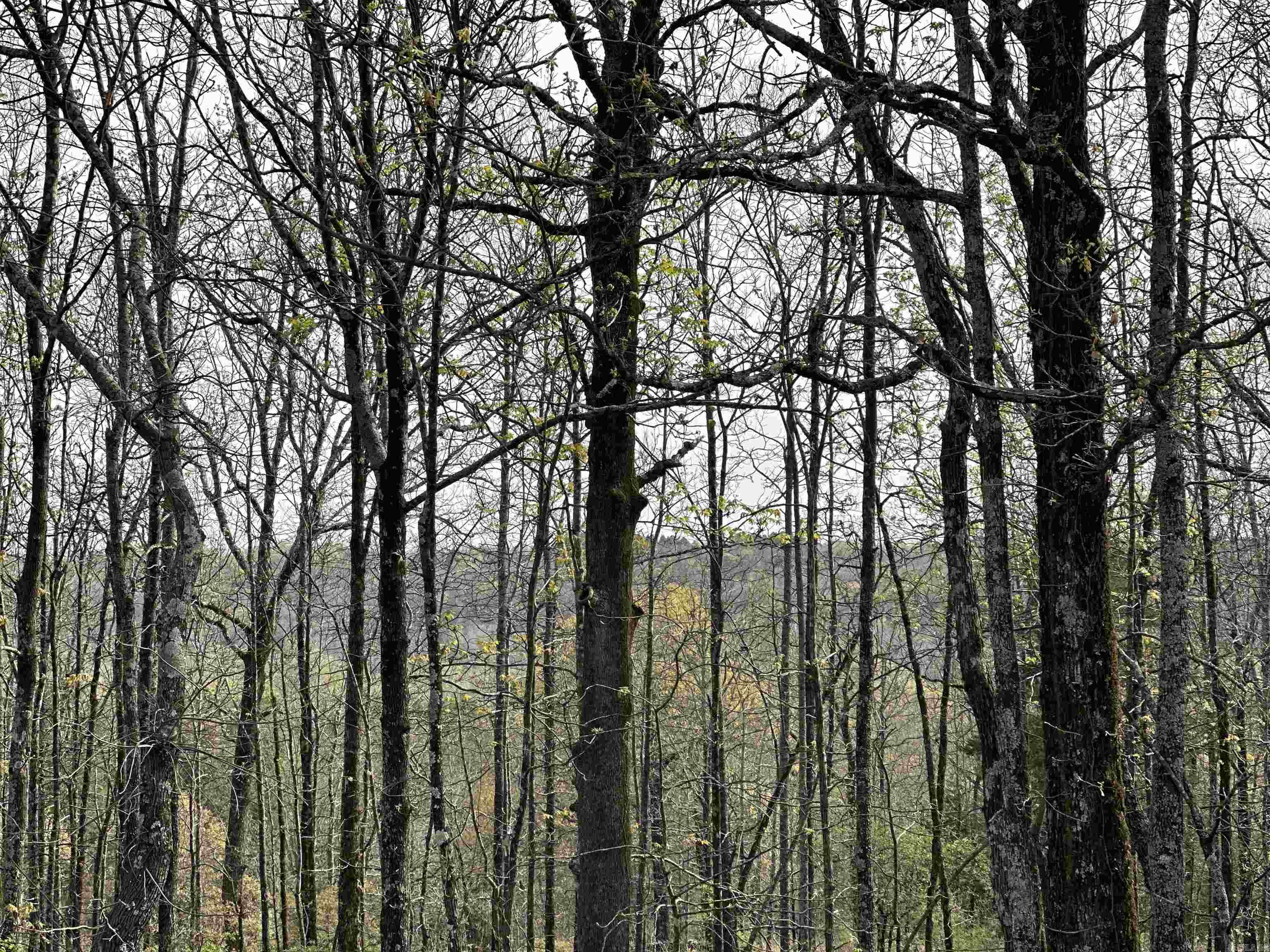 Beautiful 1.64 Acre Lot located in Beebe/Antioch Area. Beautiful view of Beebe from the back. Lot does have restrictions. No Mobile Homes Allowed. AGENTS SEE REMARKS