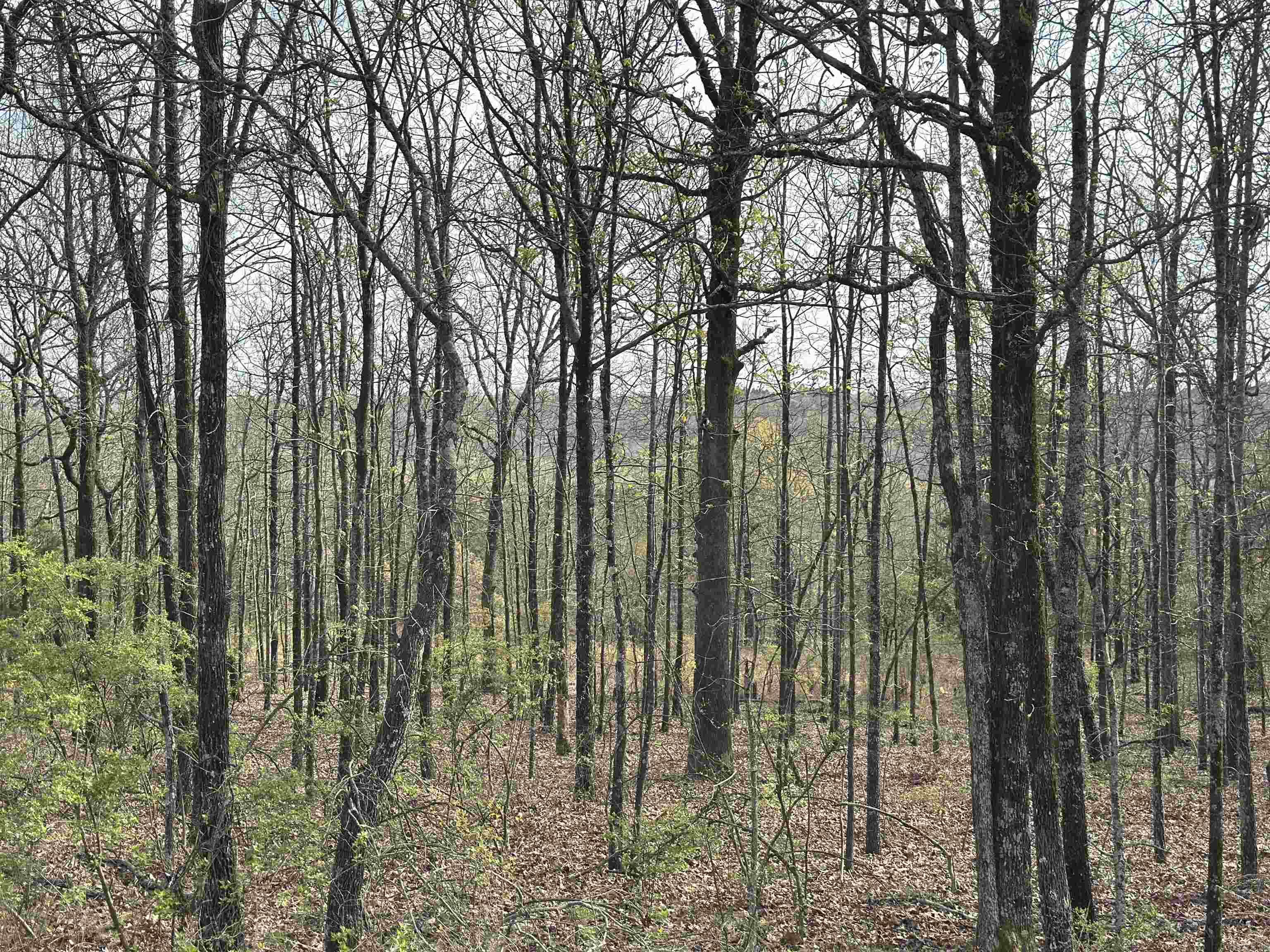 Rocky Branch Estates - Land