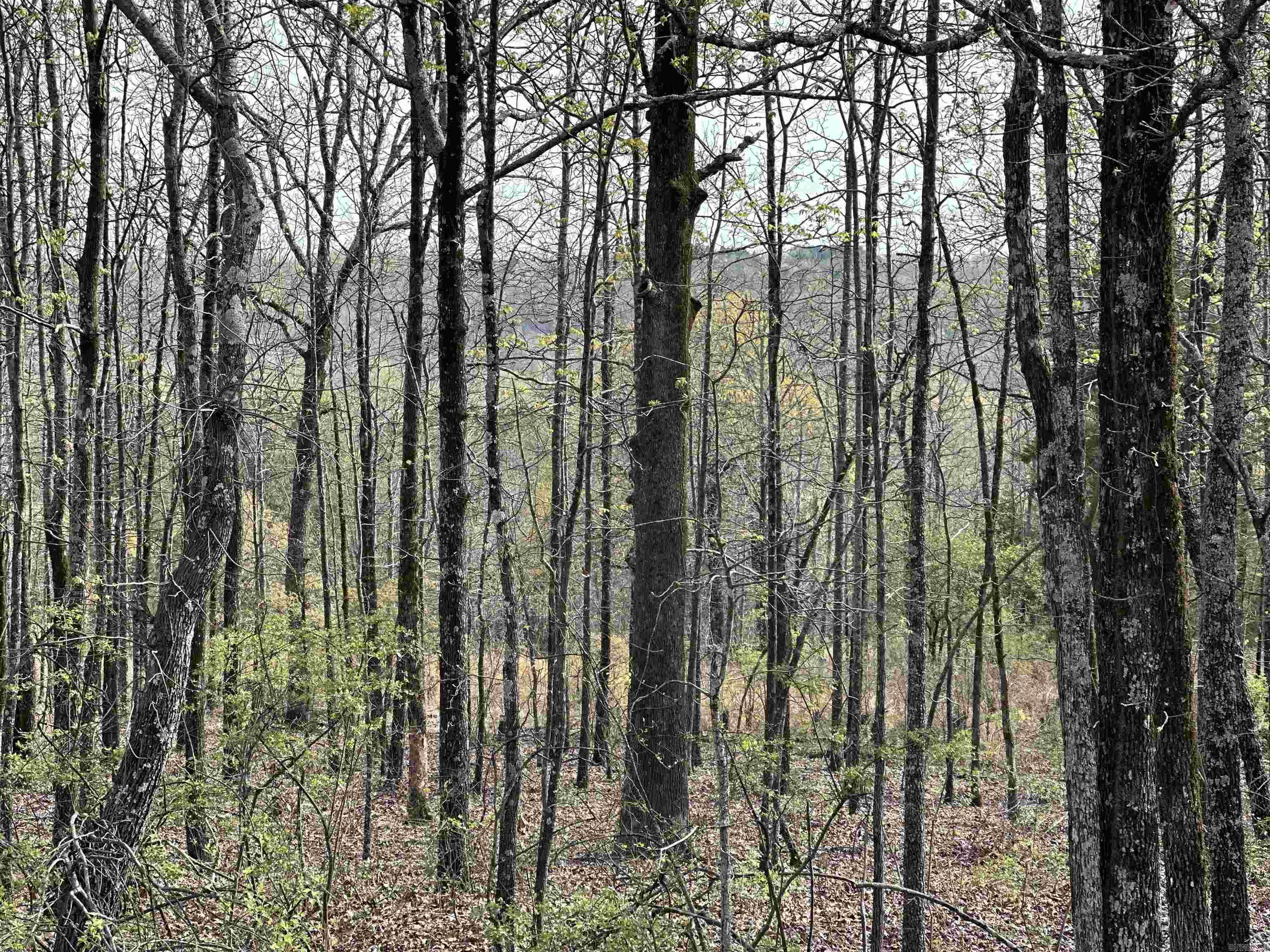 Rocky Branch Estates - Land