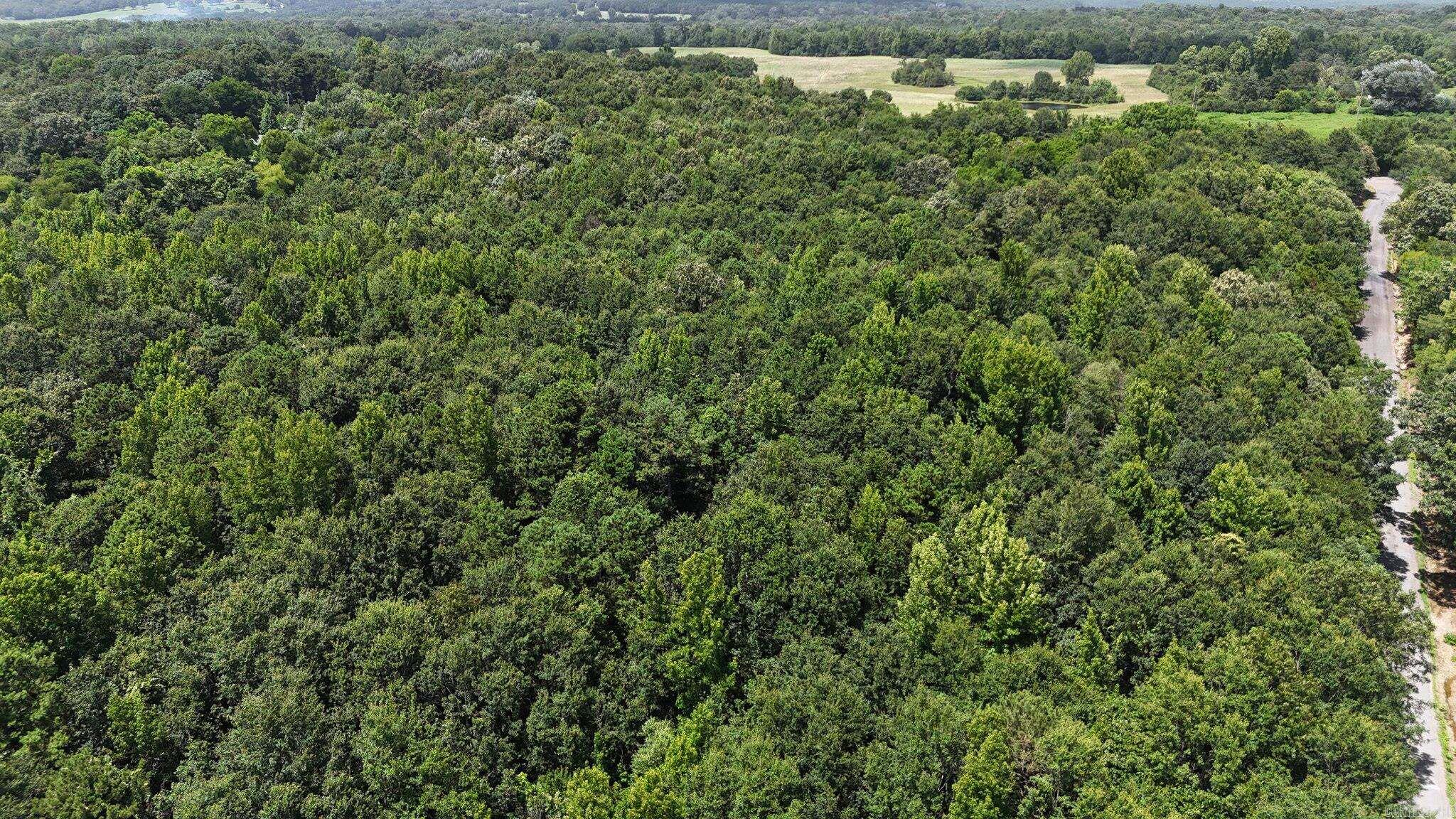 Polk County - Land