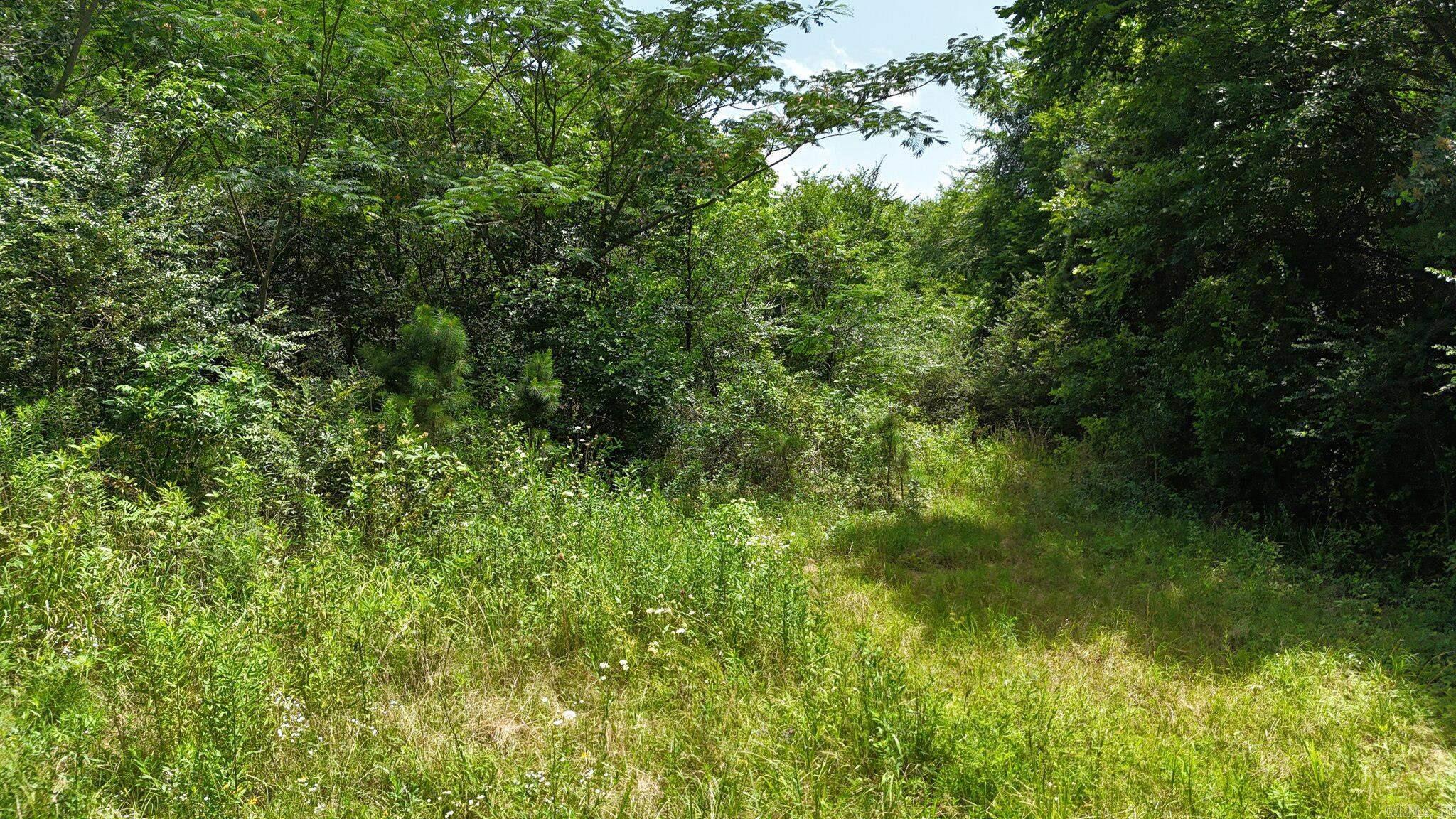 Polk County - Land