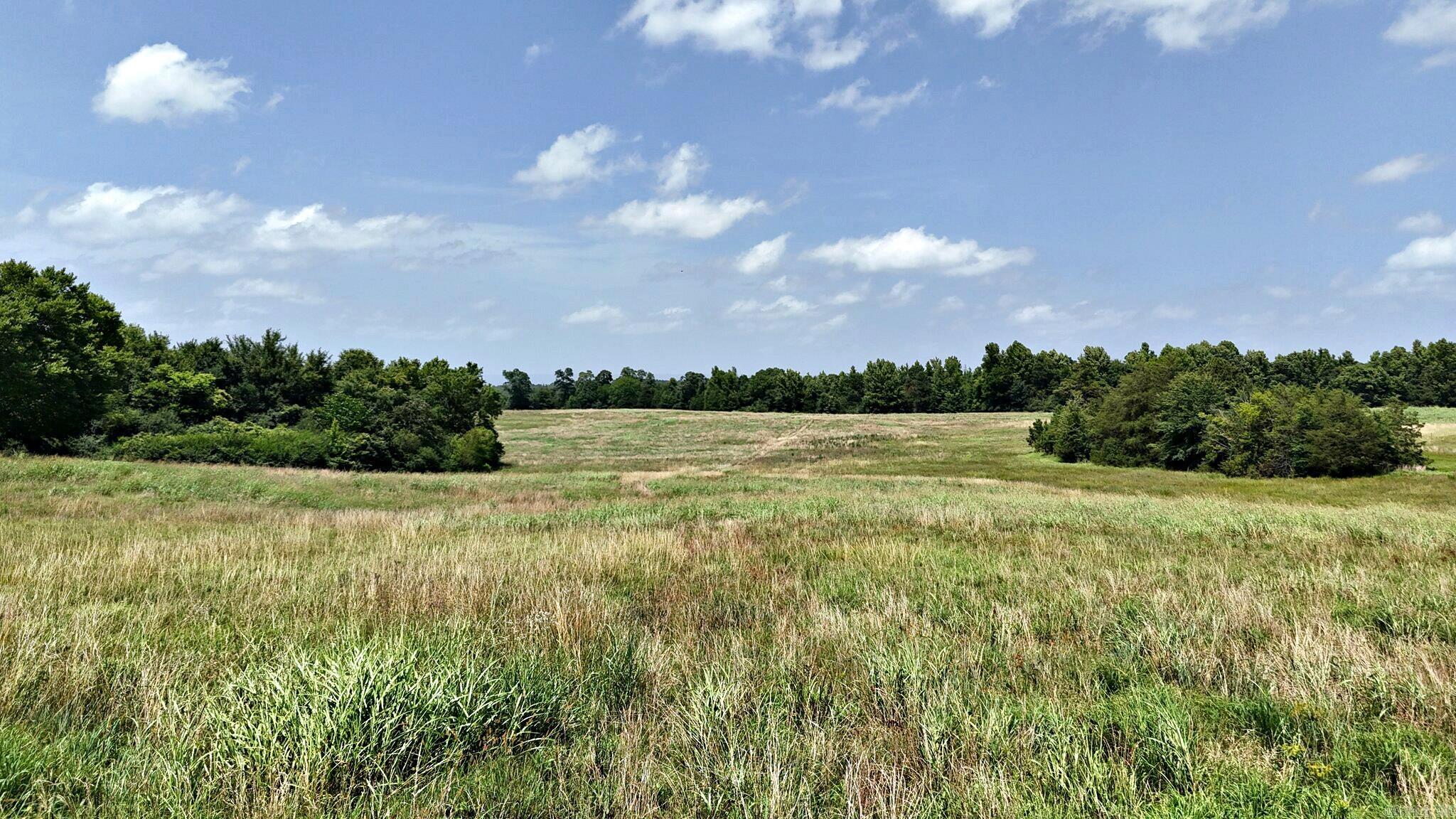 Beautiful rolling pastureland with stunning mountain and countryside views, featuring a mix of open fields and mature timber for the perfect balance of work and recreation. The property offers three ponds and seasonal creeks, providing water sources for livestock and abundant wildlife habitat. Flat farmland areas are ideal for grazing cattle, hay production, or other crops, giving you flexibility for agricultural use. Rural water is already available at the barn/shed, adding convenience for future improvements or livestock operations. Mature timbered sections provide shade, privacy, and excellent opportunities for hunting, hiking, or simply enjoying the outdoors, making this an exceptional rural property with endless potential.