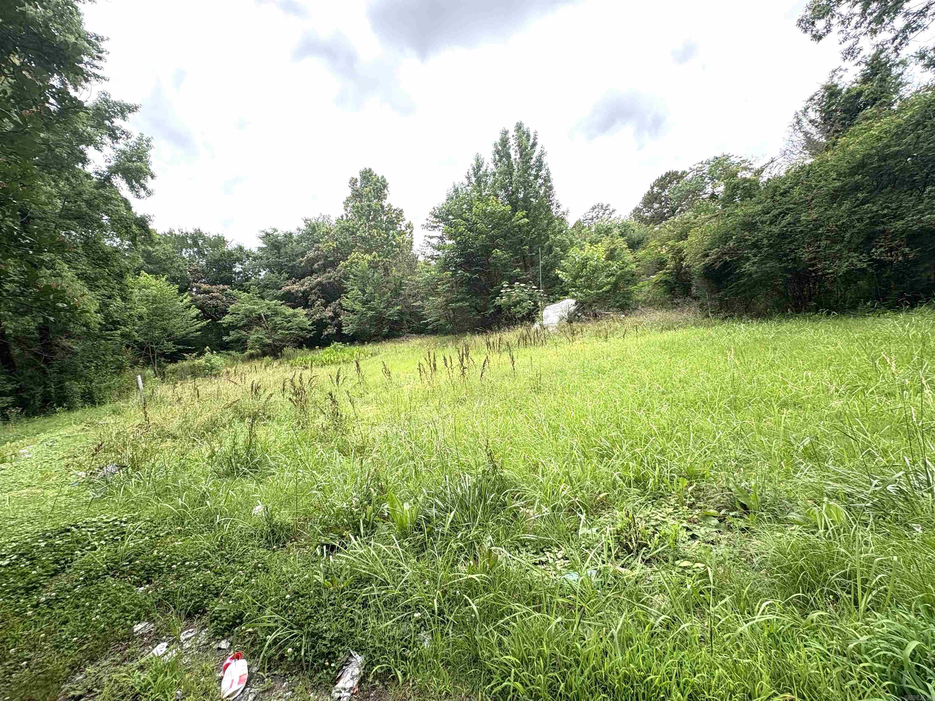 Perryville City Acreage - Residential