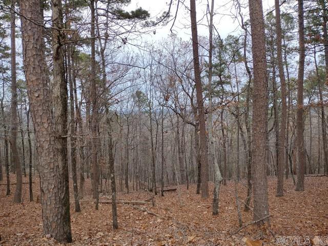 Mesero Way view!  A beautiful Northerly view with moderate slope, overlooking the Middle Fork of the Saline River, with the National Forest in the distance.  There is POA owned Common Property on the East side of the lot, providing an additional buffer.  Lot 001 Block 05 Mesero Subdivision, Saline County, Hot Springs Village AR  $300 Buy-In fee for HSV POA for first time buyers.
