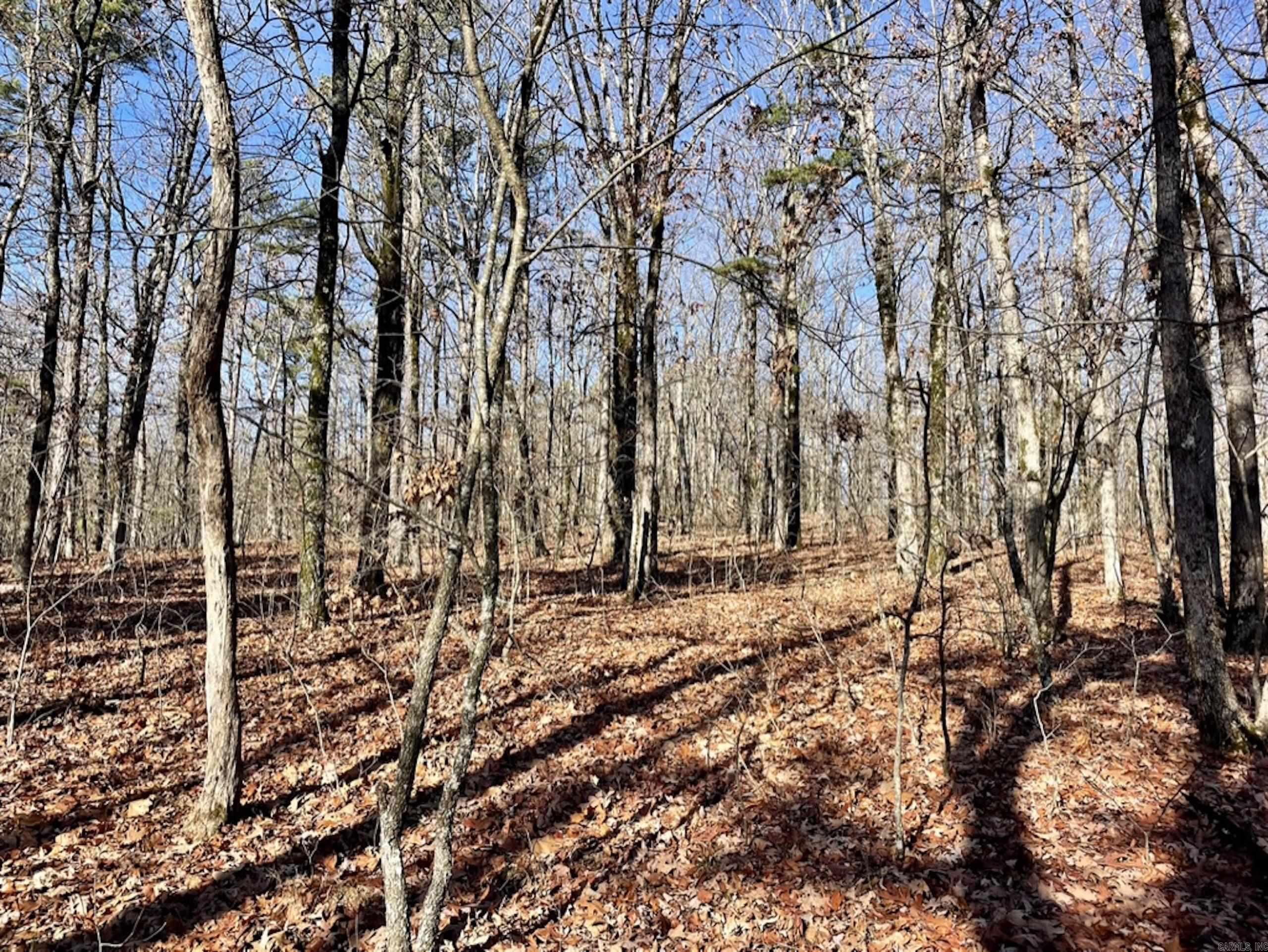 Not in List - Land
