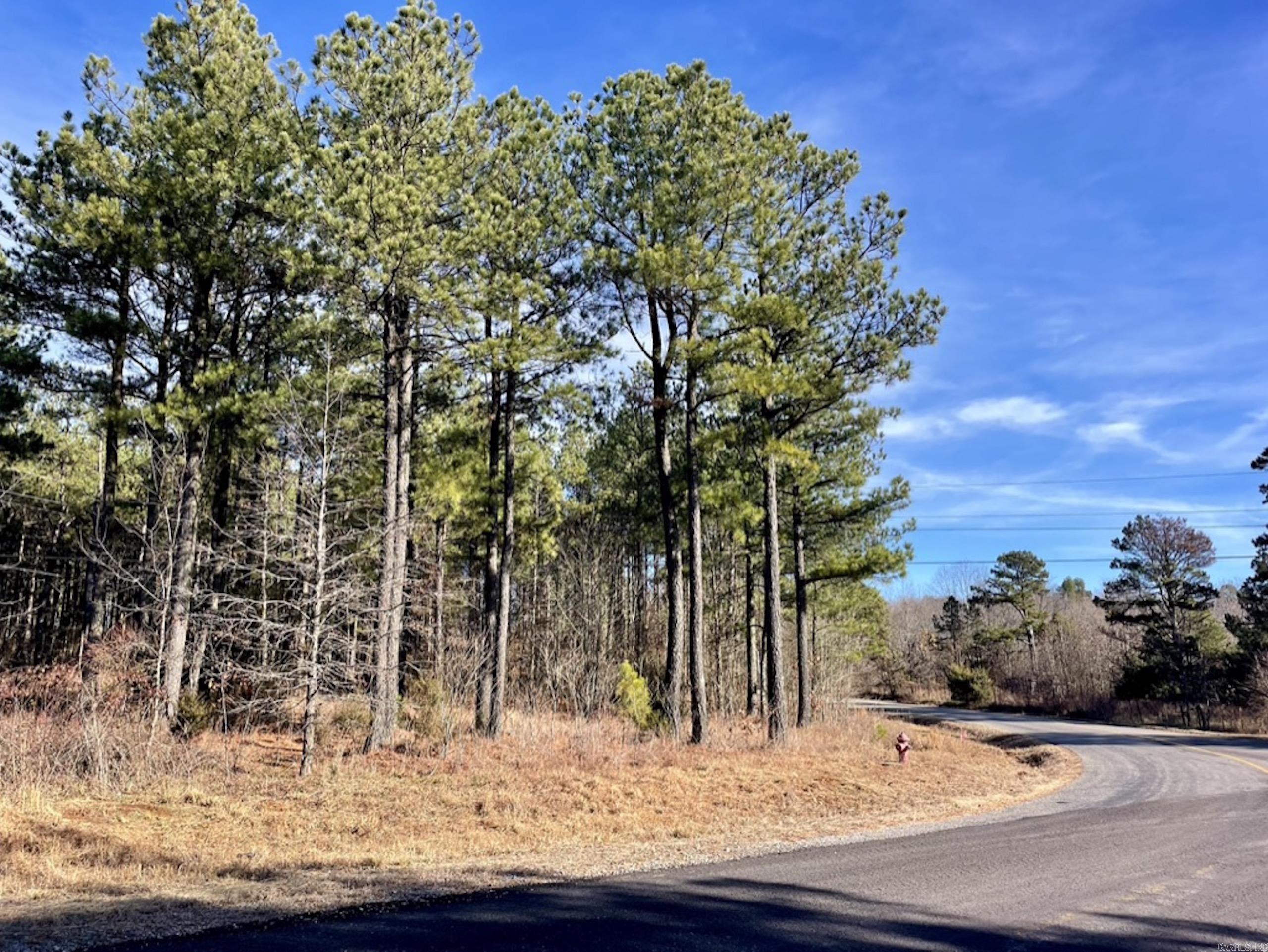 Have you been looking for affordable acreage with road frontage and utilities? This property checks all those boxes. It is also located near the US National Forest, in fact, it actually borders the National Forest for a short distance. If you want to build a cabin or forever home on the gently rolling terrain you could choose from several building sites, some with good views of the Ozark Mountains. With nearly 1/3 mile of Low Gap Road frontage on both sides, you could easily divide this property. Mature hardwood and pine timber attract and hold wildlife including deer, turkey and bear. In fact, the timber is ready for thinning and could generate significant revenue providing a good return on investment. There is an old homestead with a well but electricity, rural water and high-speed internet are along the road and the Sellers Mineral Rights will convey.