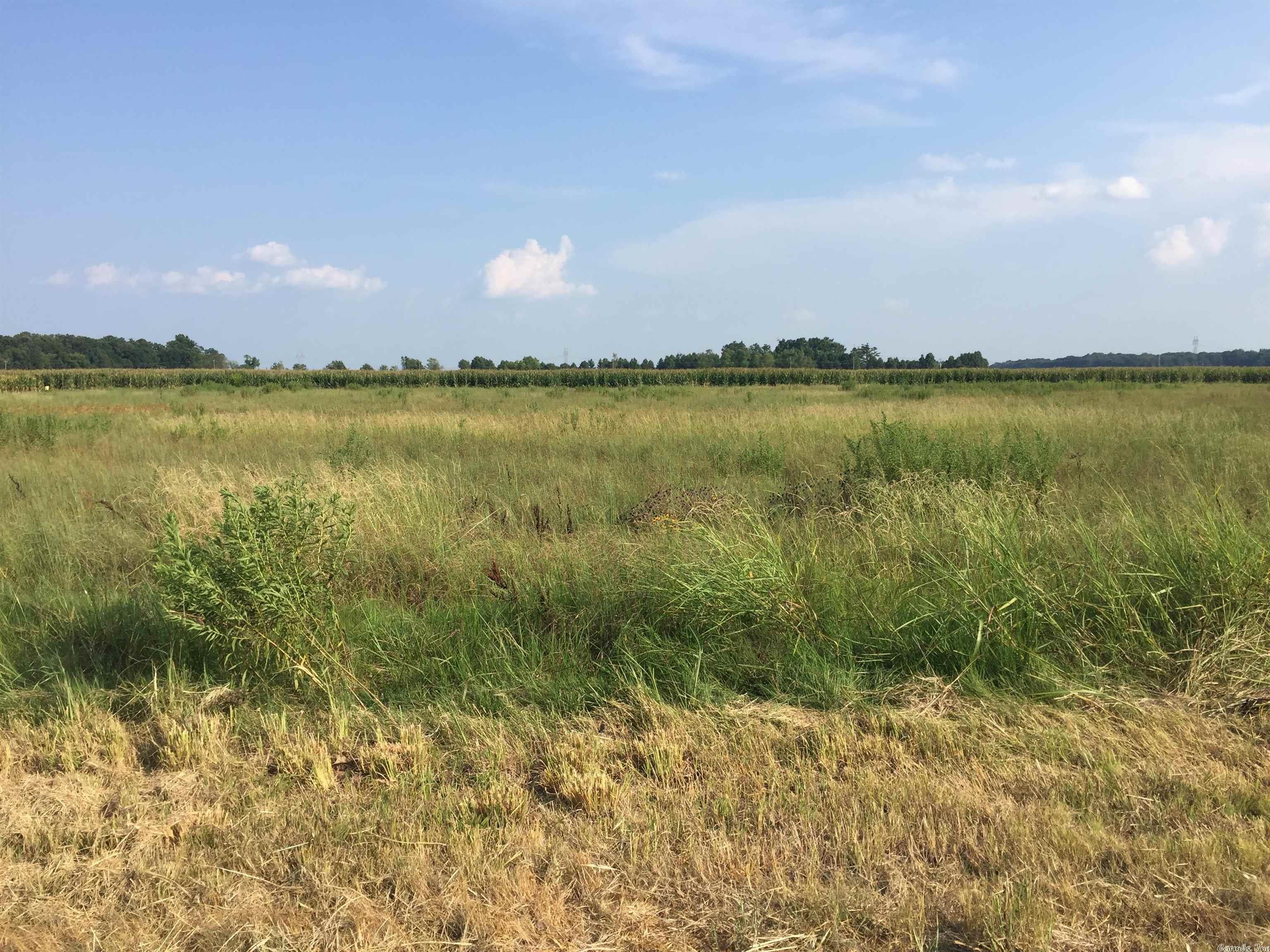 Mound Lake - Land