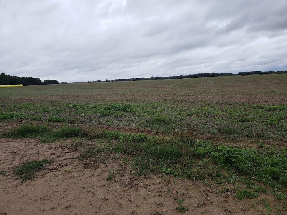 Lonoke - Farm