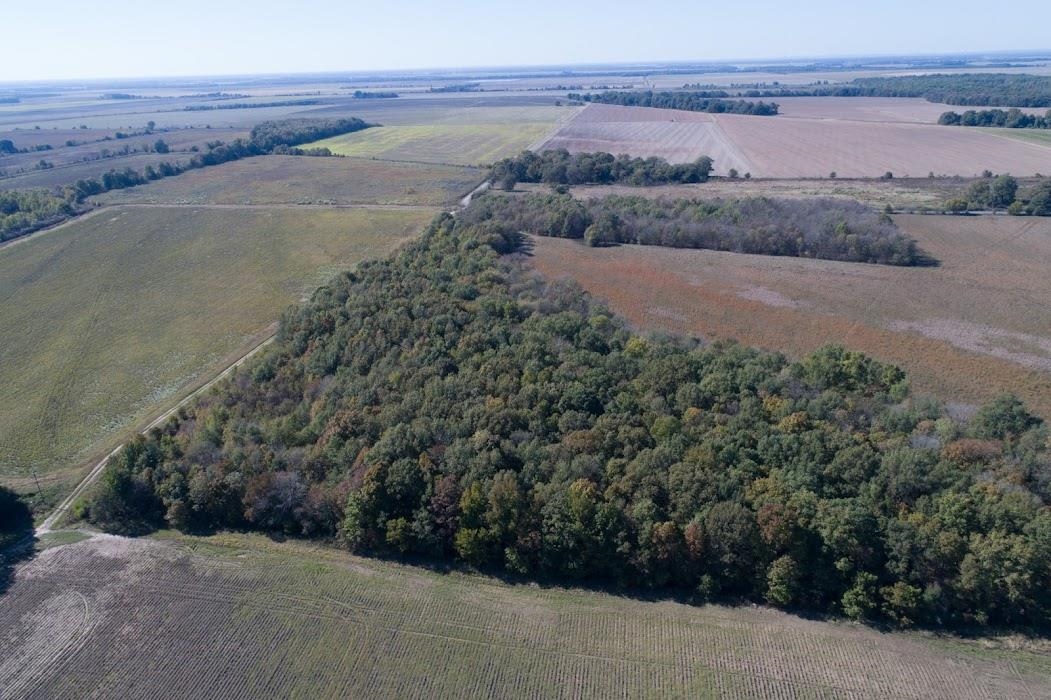 Lonoke - Farm