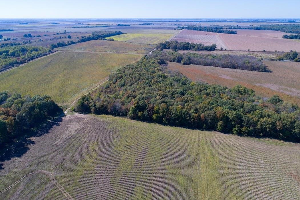 Lonoke - Farm