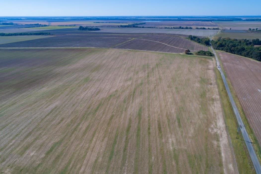 Lonoke - Farm