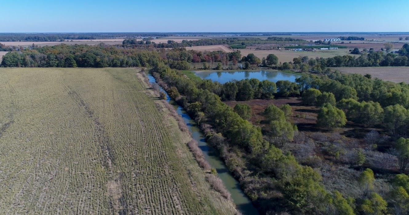 Lonoke - Farm