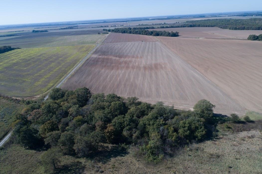 Lonoke - Farm