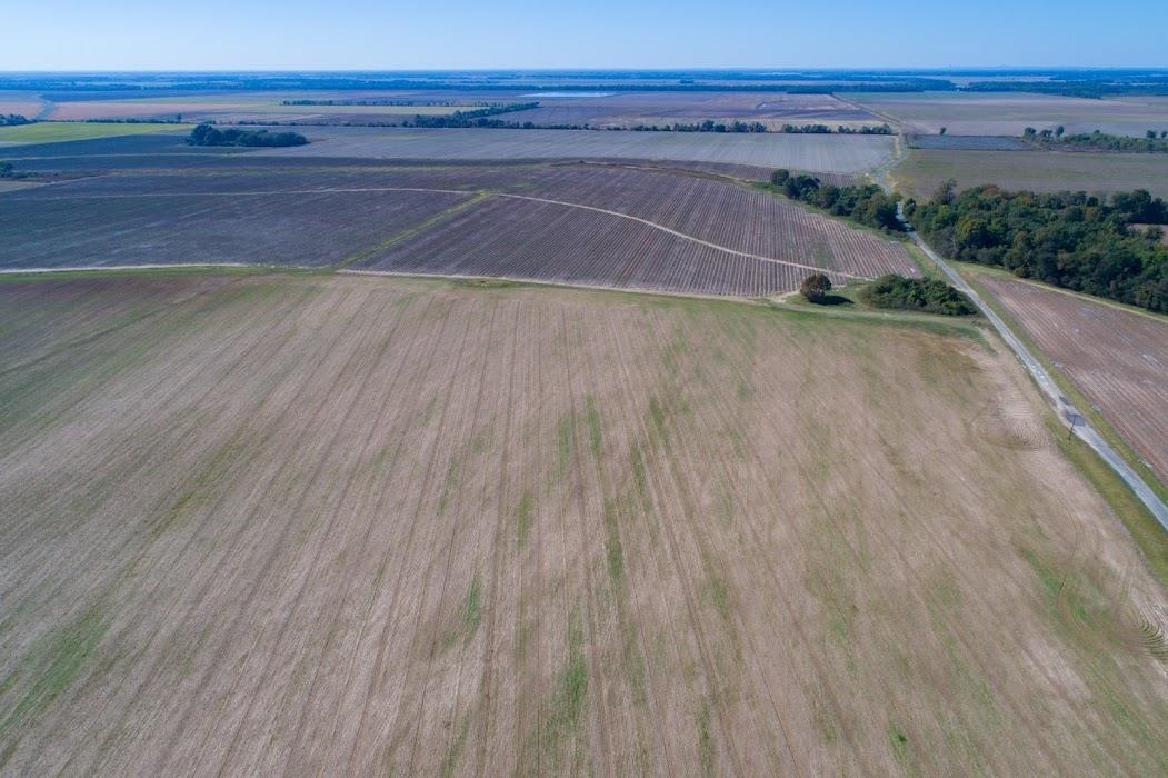 Lonoke - Farm