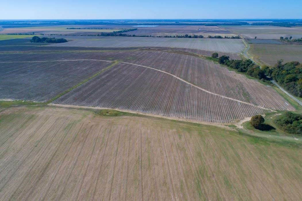 Lonoke - Farm